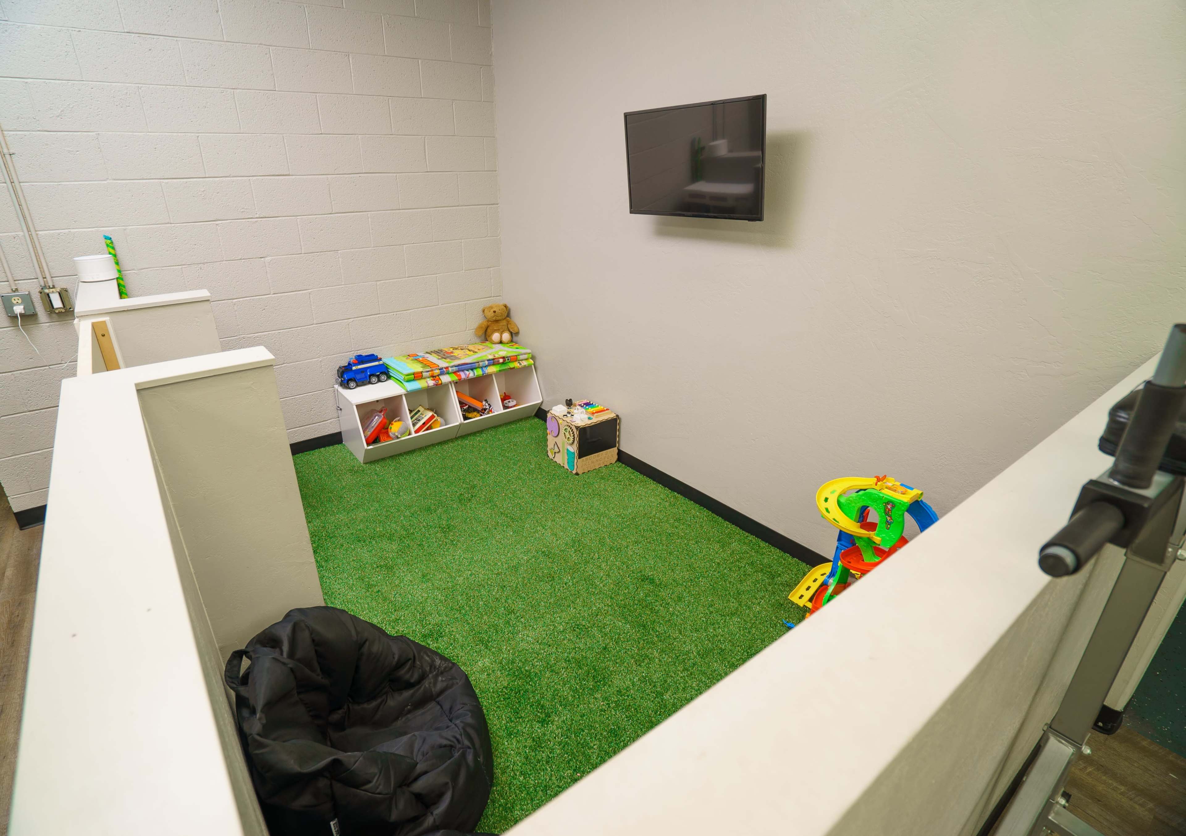 The image shows a small playroom with artificial grass flooring, a wall-mounted TV, and storage units filled with toys.