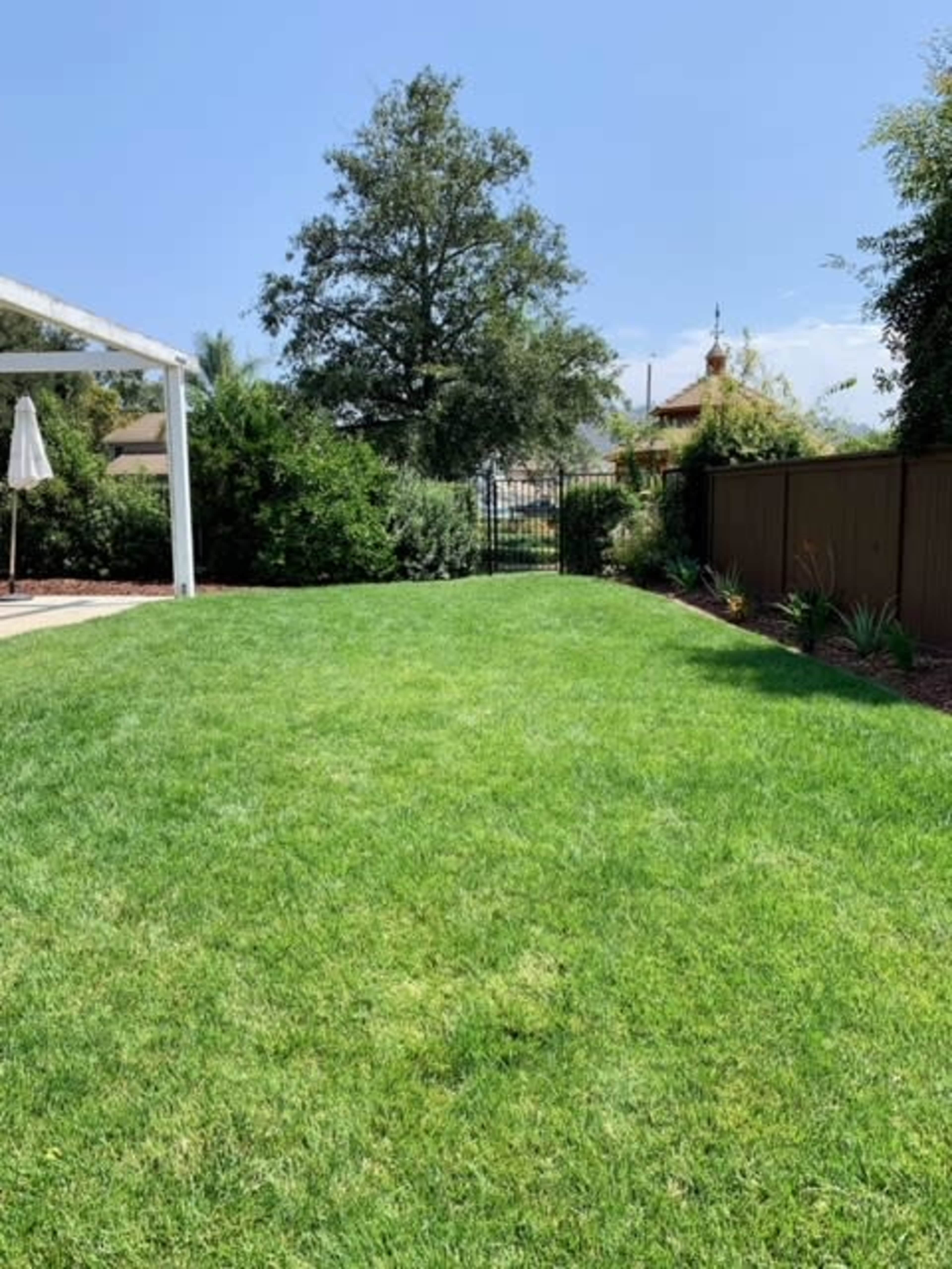 A well-maintained grassy lawn bordered by trees and a fence with a gate in the background.