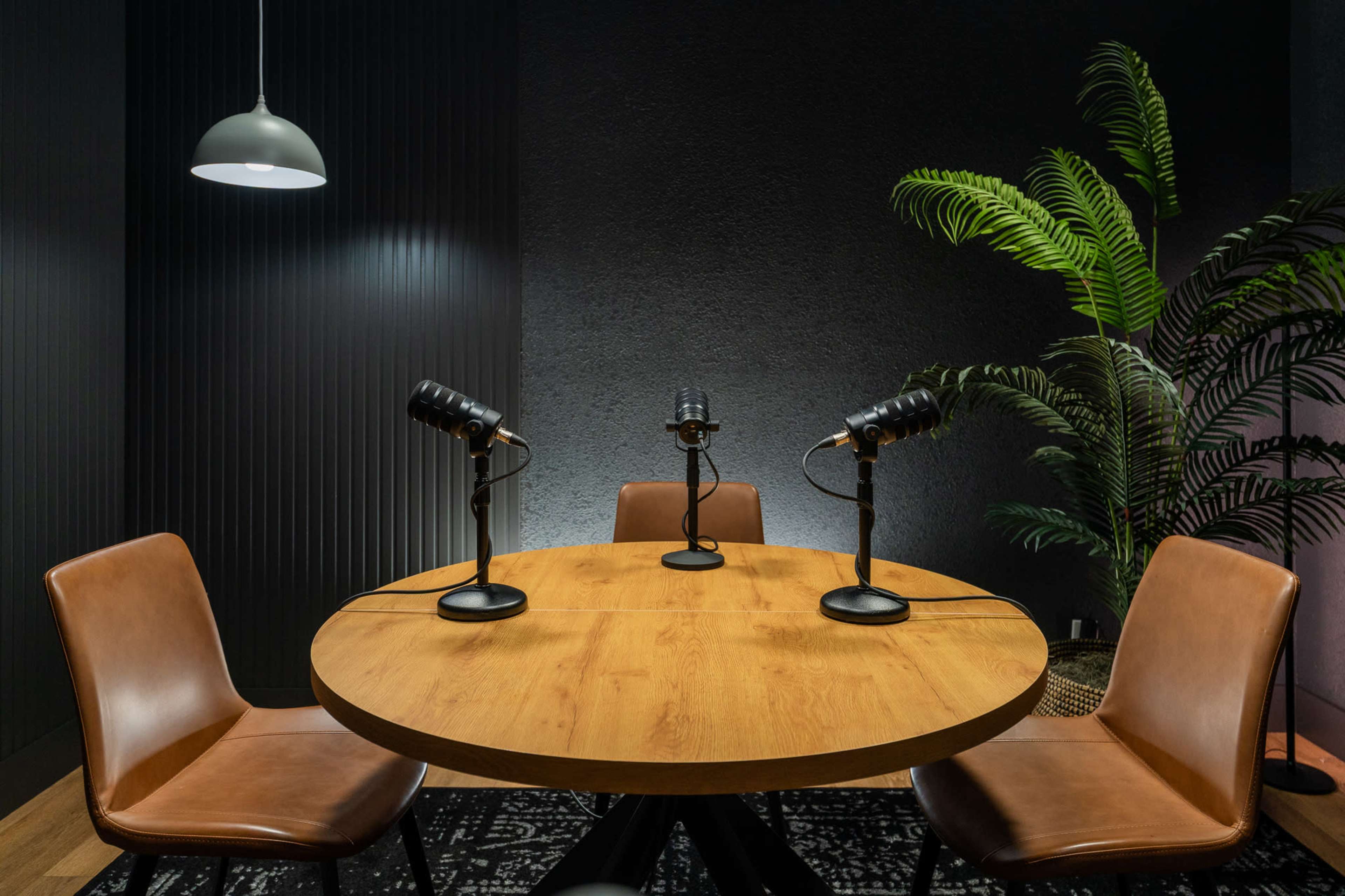 A round wooden table with three microphones is set up in a dimly lit room featuring two leather chairs and a large potted plant.