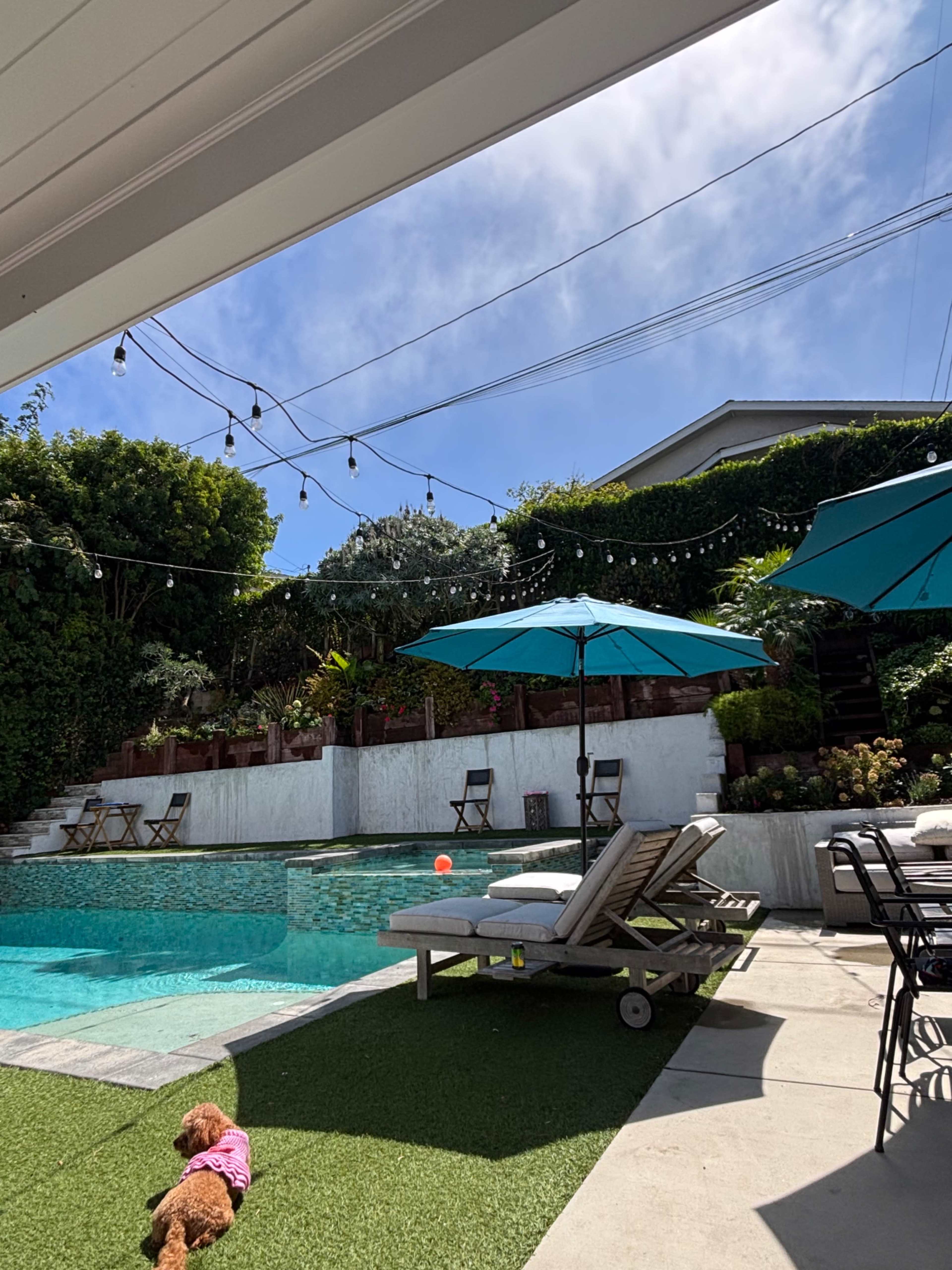 Backyard Oasis: A Modern Retreat for Relaxation and entertaining Image in Riviera, Torrance, CA