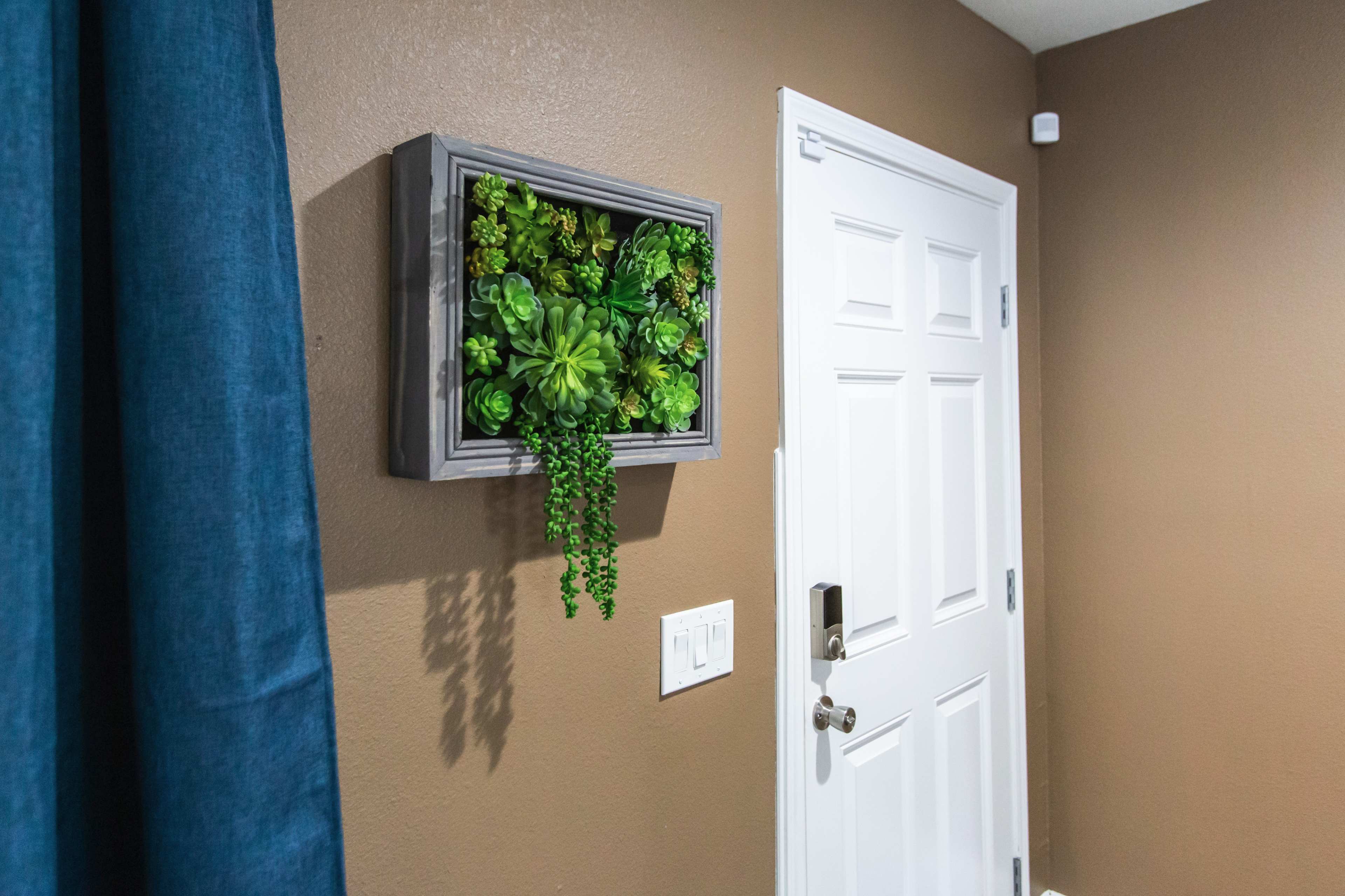 A framed vertical garden of succulents is mounted on a brown wall next to a white door.