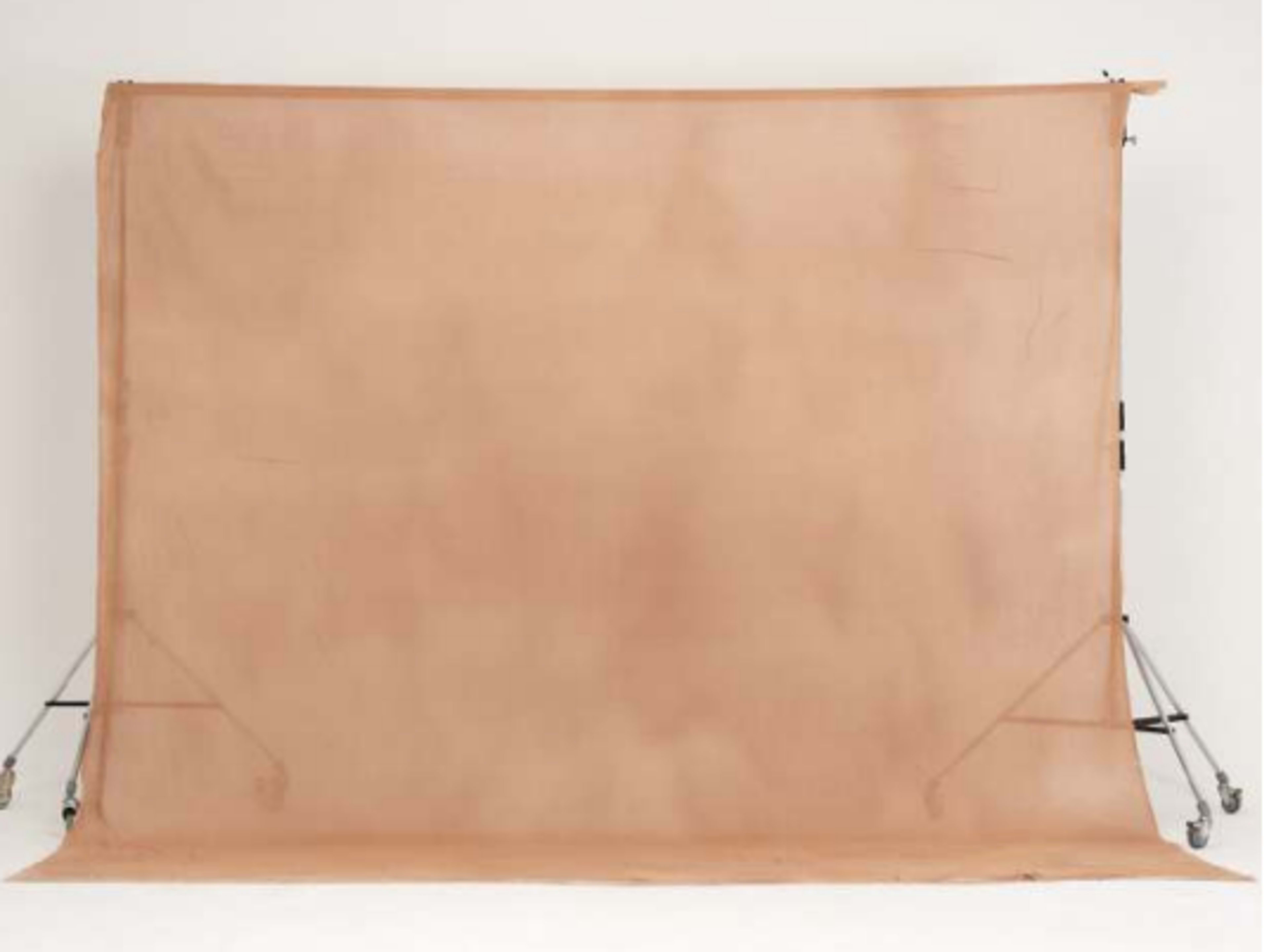 Fabric Backdrop: Latte