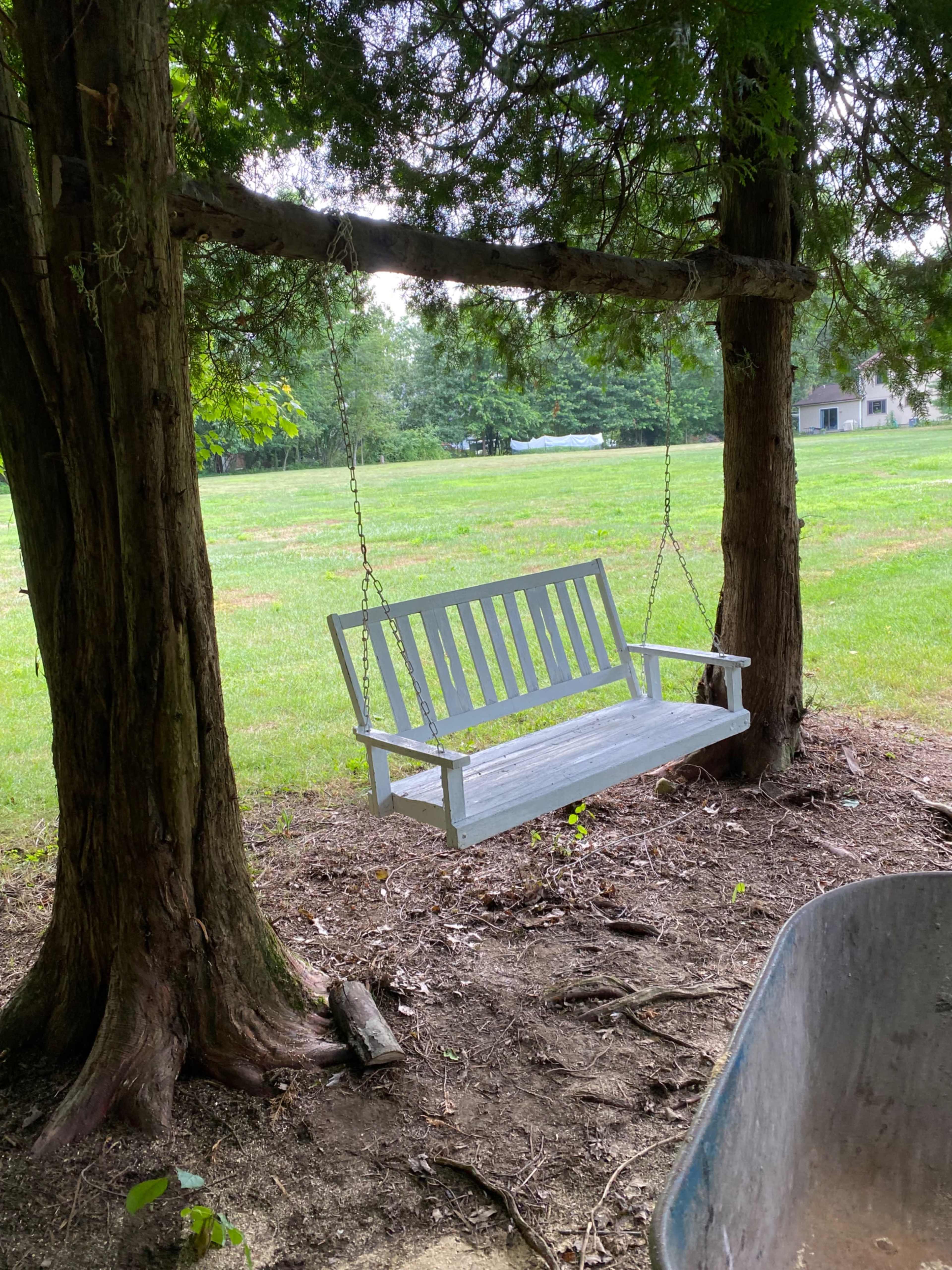 A white wooden swing is suspended between two trees in a grassy area.