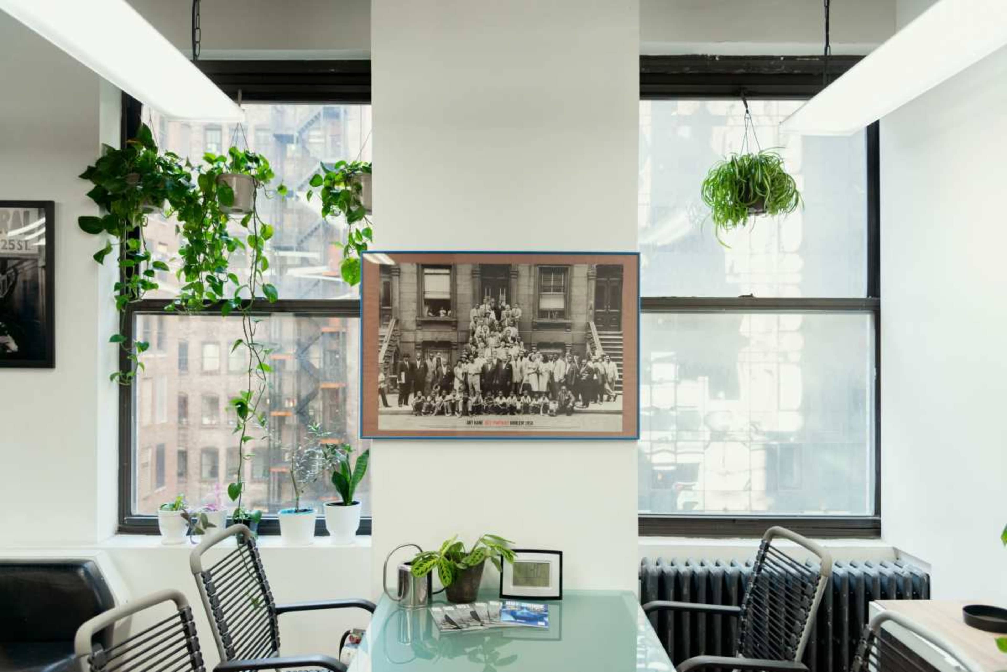 The image shows an office interior with large windows, potted plants, a glass table, chairs, and a framed historical photograph hanging on the wall.
