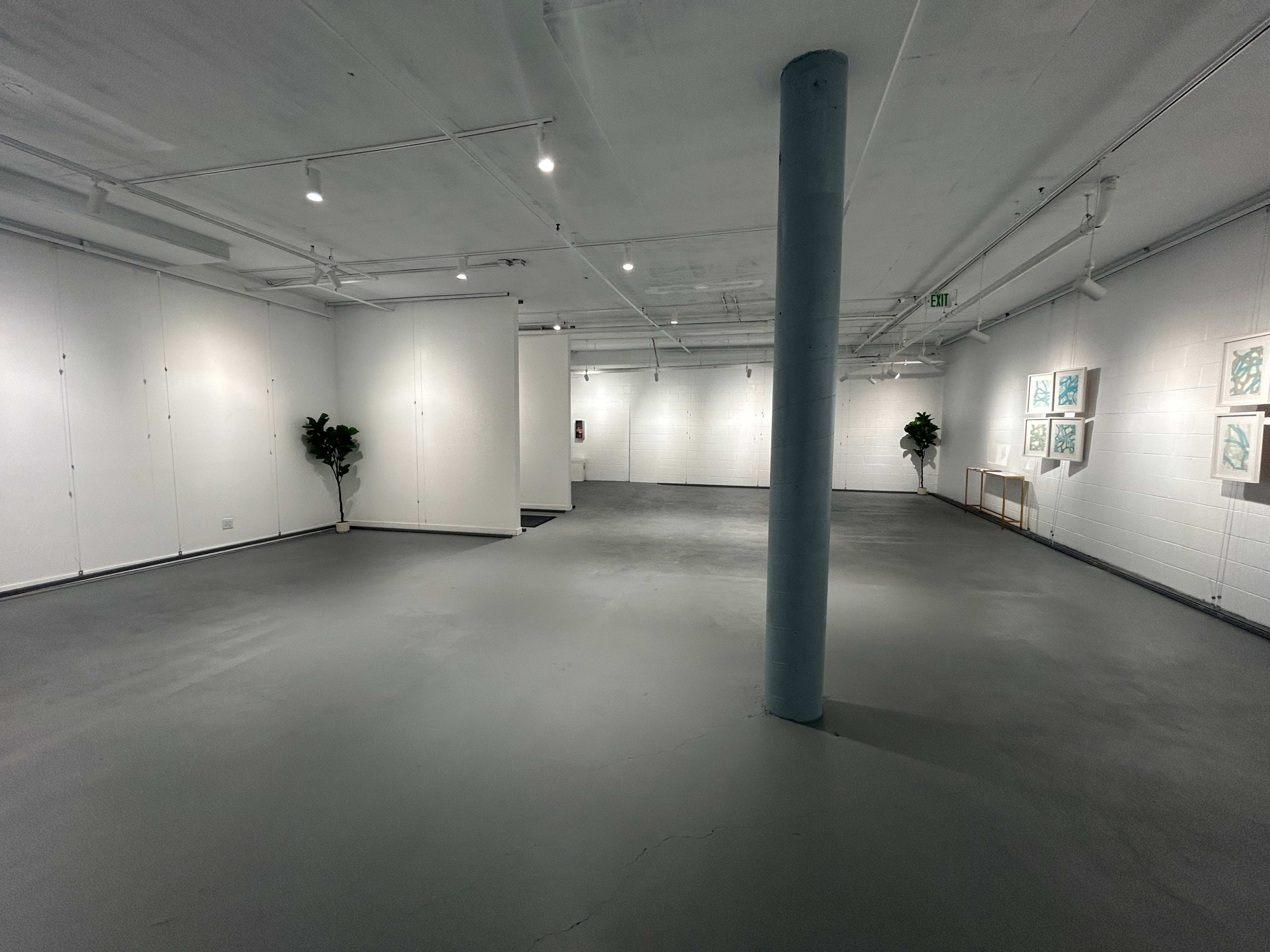 The image shows a spacious, empty art gallery with white walls, a concrete floor, and a few decorative plants in the corners.