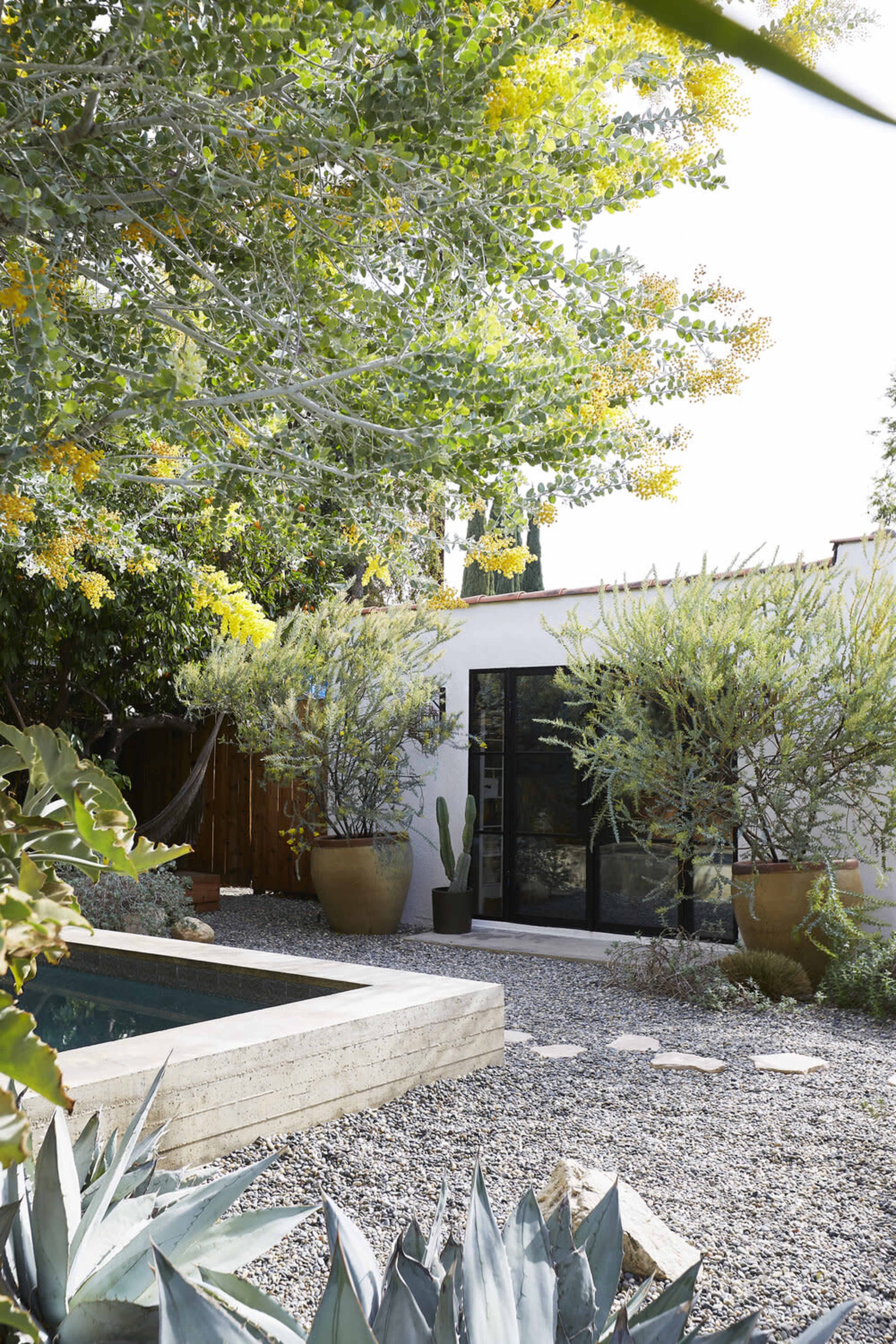 A modern backyard features a small pool surrounded by gravel, large planters with foliage, and a minimalist building with glass doors.