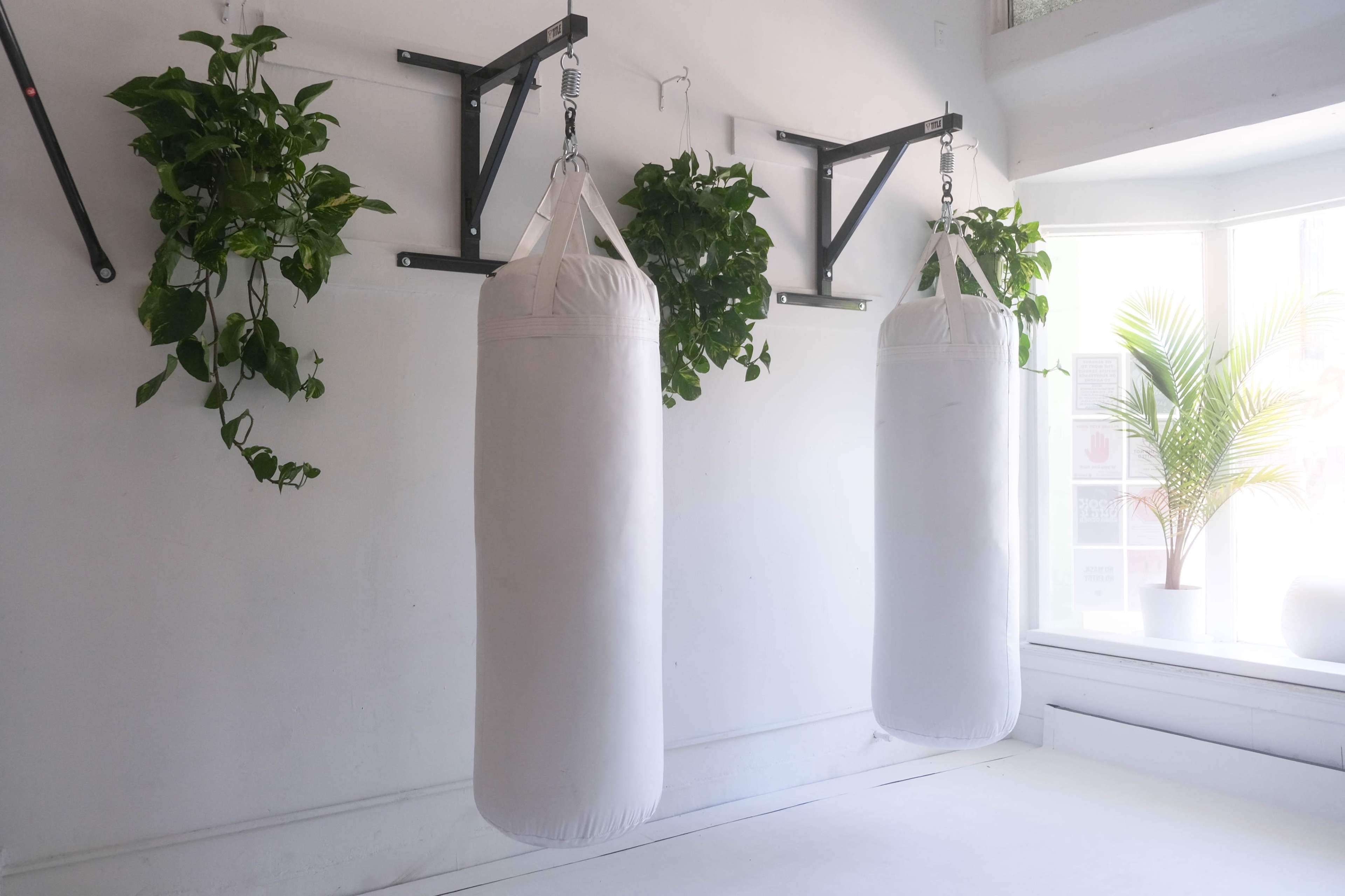 A bright room with two hanging white punching bags flanked by potted plants on the walls.