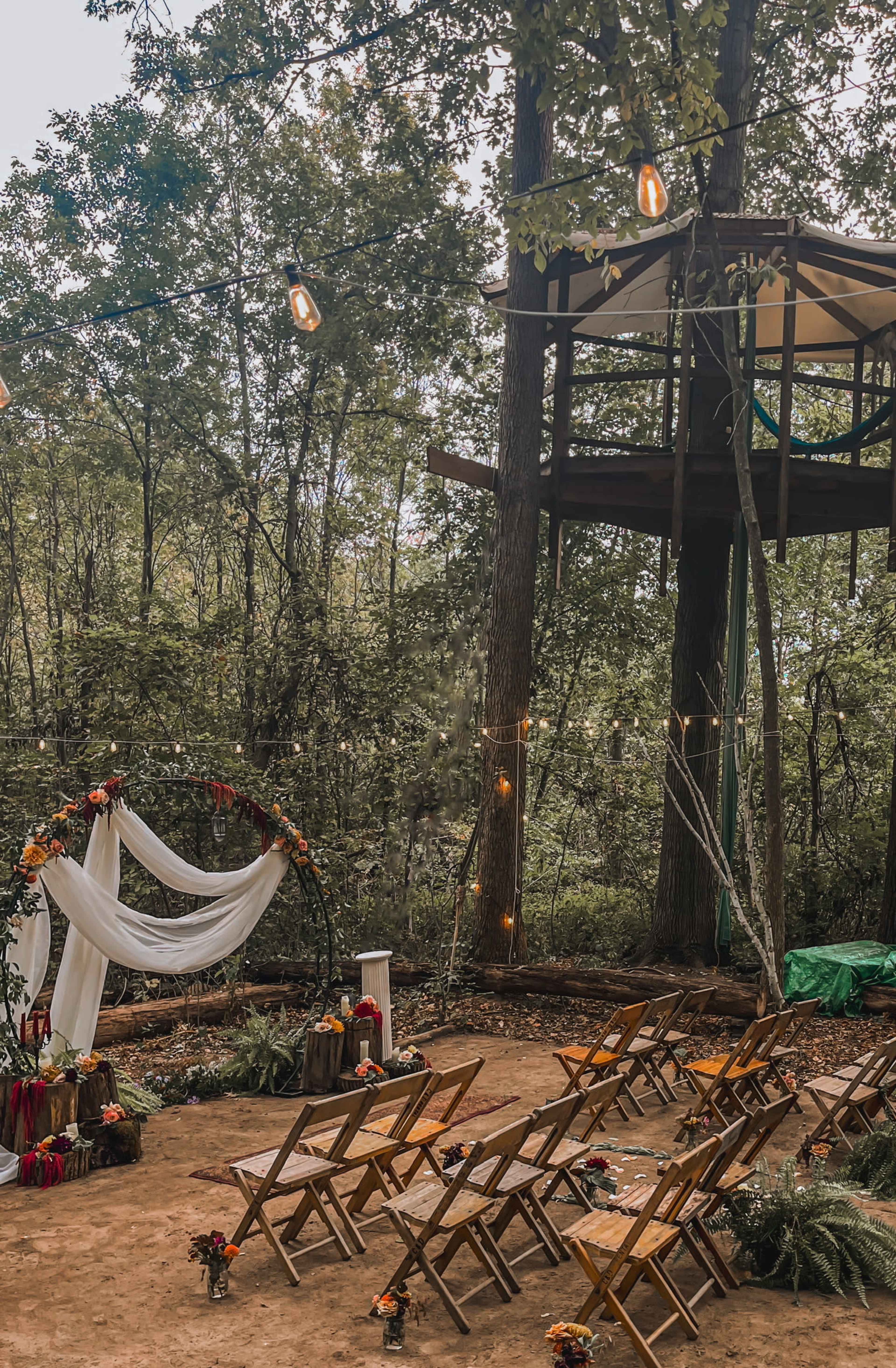 Enchanted Forest with Natural Pond Image in Salem Township, Ann Arbor, MI