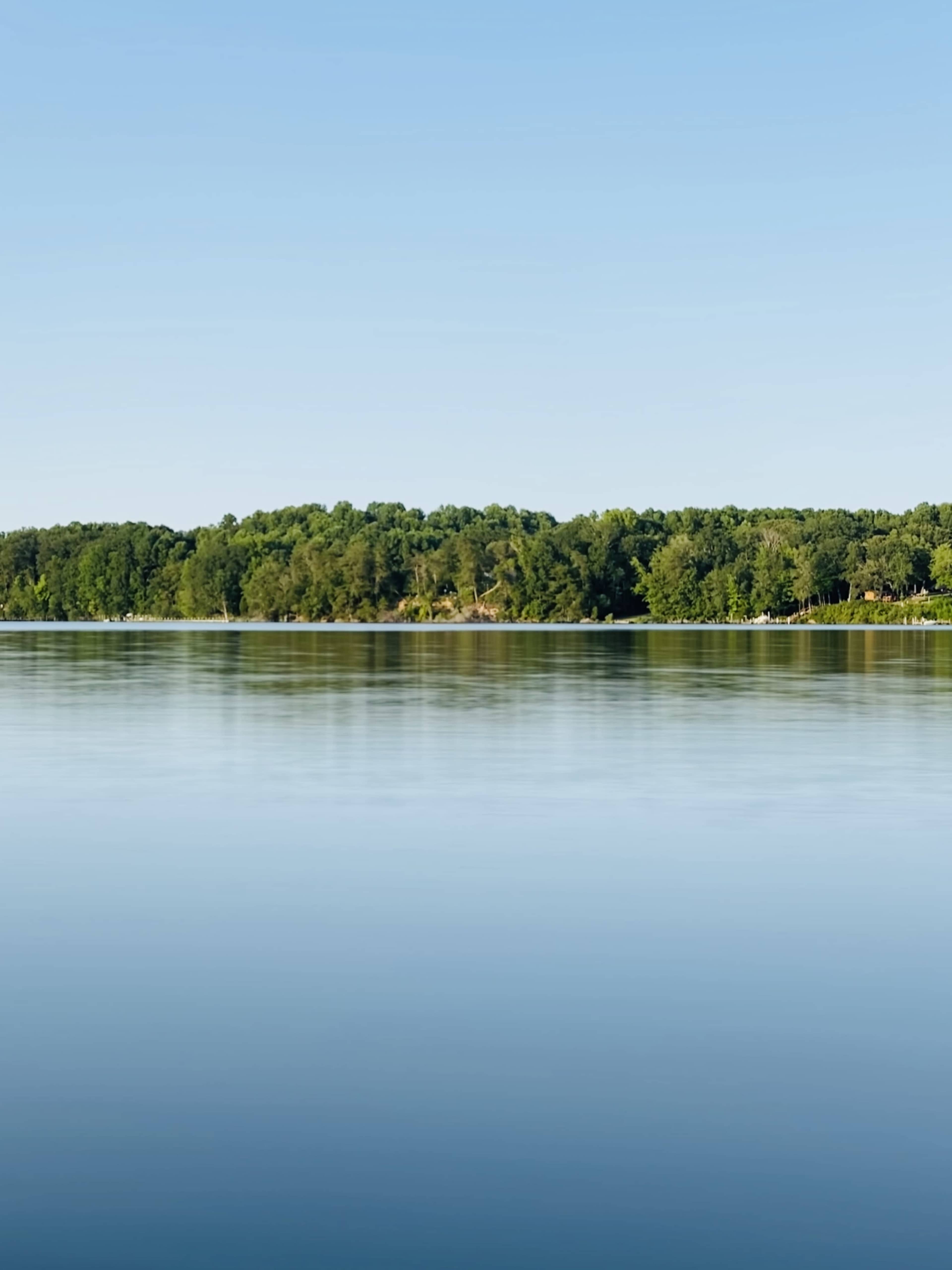 A calm body of water stretches out in front of a densely wooded shoreline under a clear sky.