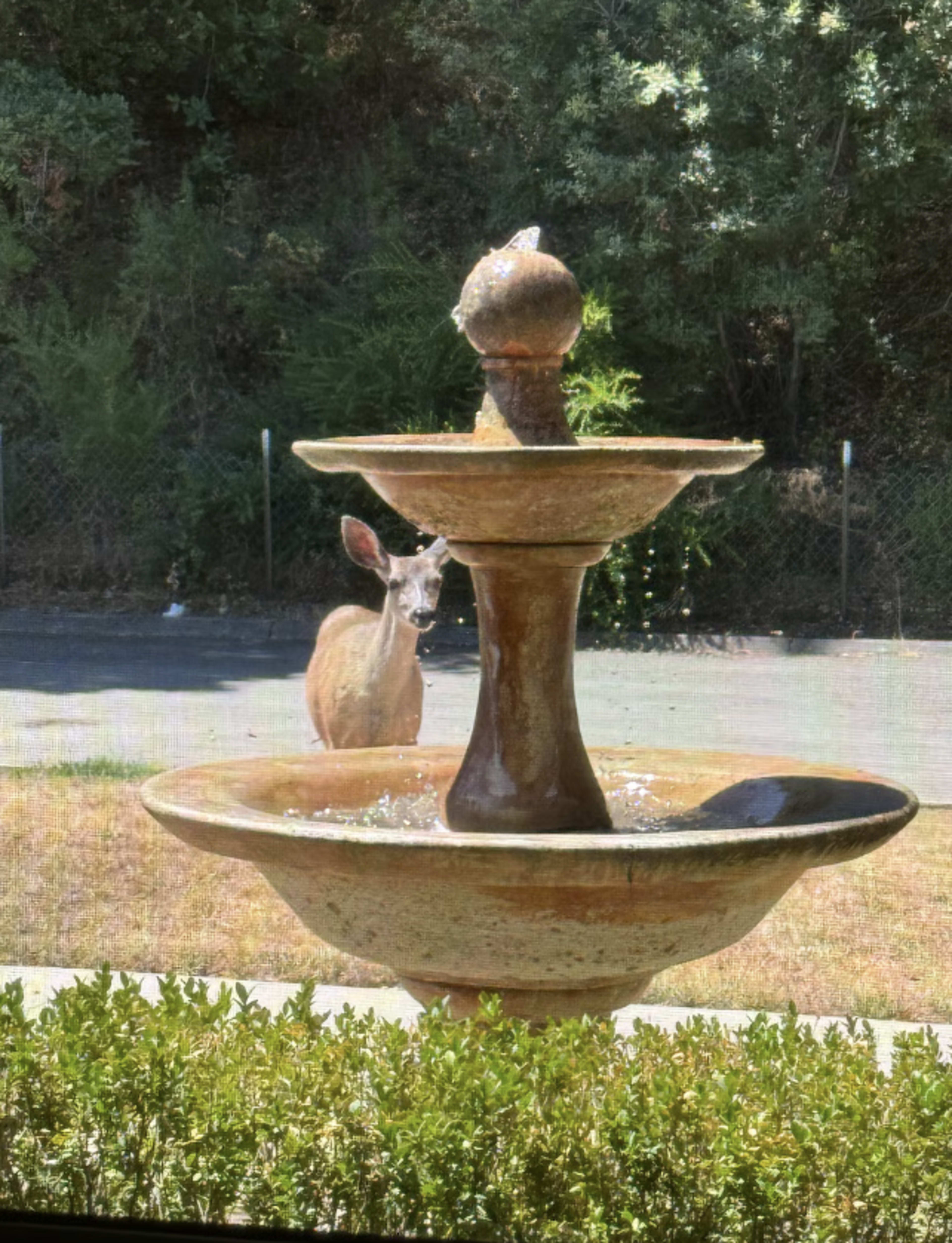 Natures Beauty Retreat Image in Almaden Guadalupe Park, San Jose, CA