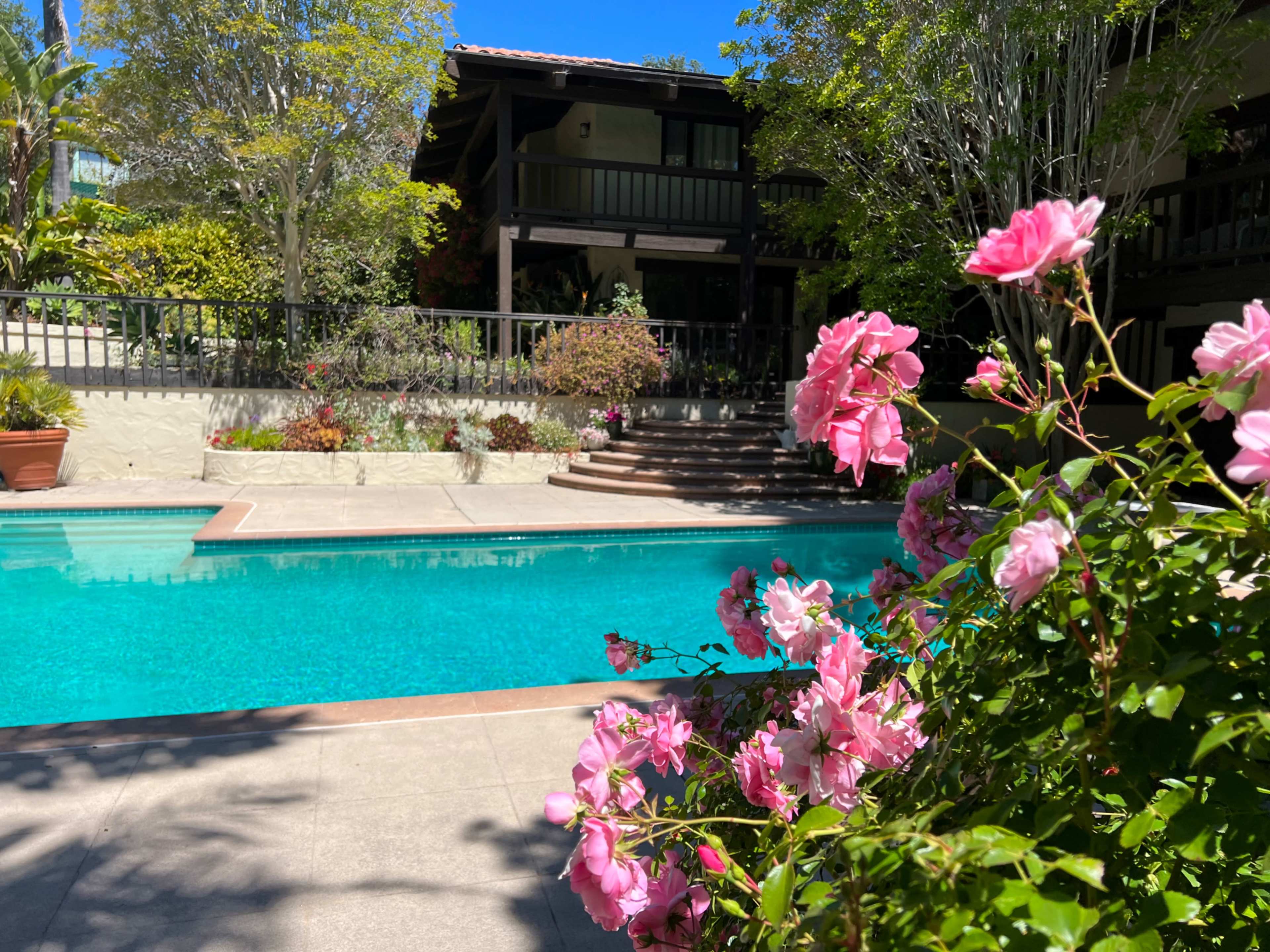 Resort-style pool, in-ground hot tub and beautiful garden Image in Santa Cruz, Santa Cruz, CA