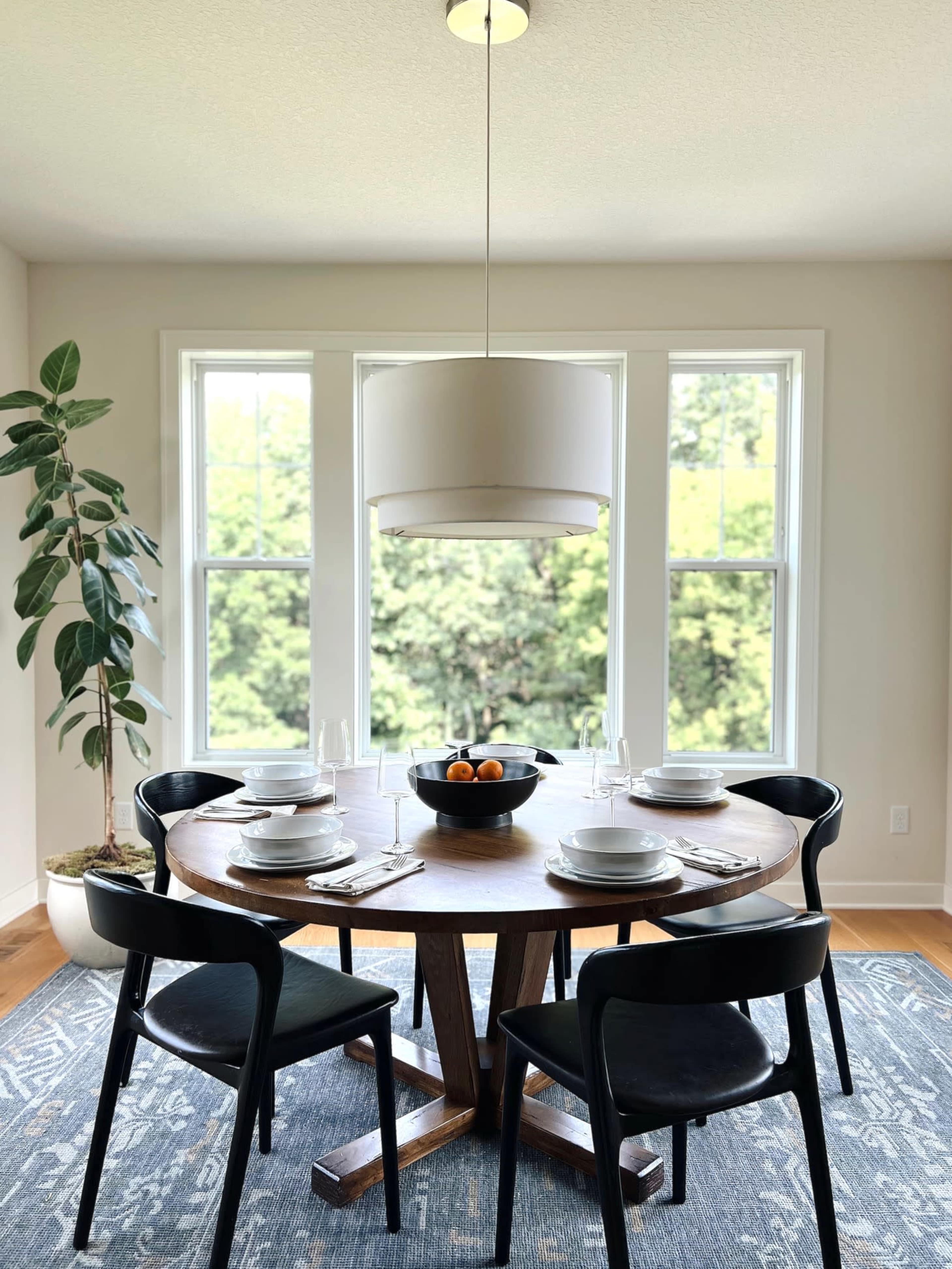 Suburban Comfort Nest Image in Chaska, Chaska, MN