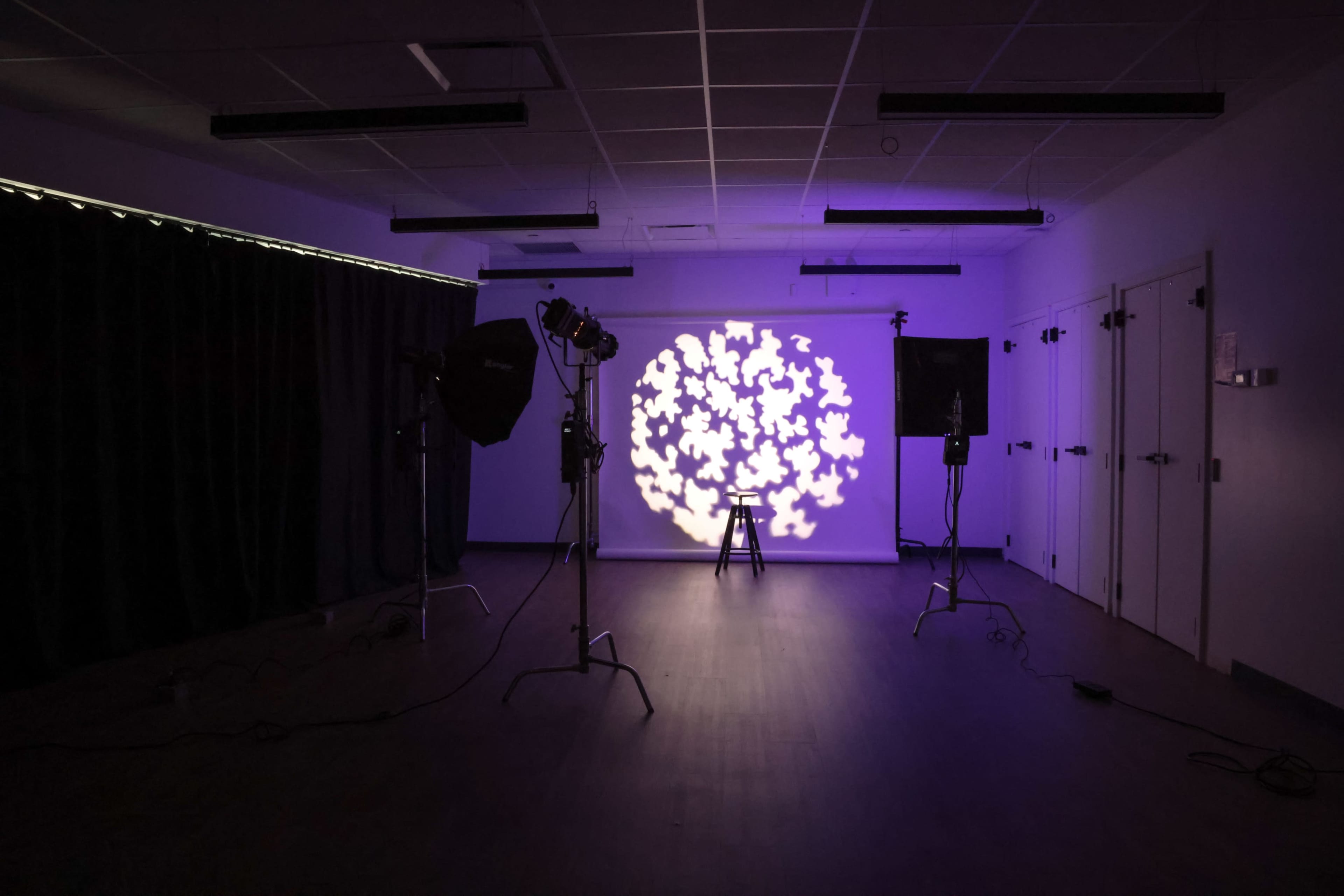 The image shows an empty room with lights casting a floral projection on a wall, accompanied by studio lighting equipment.