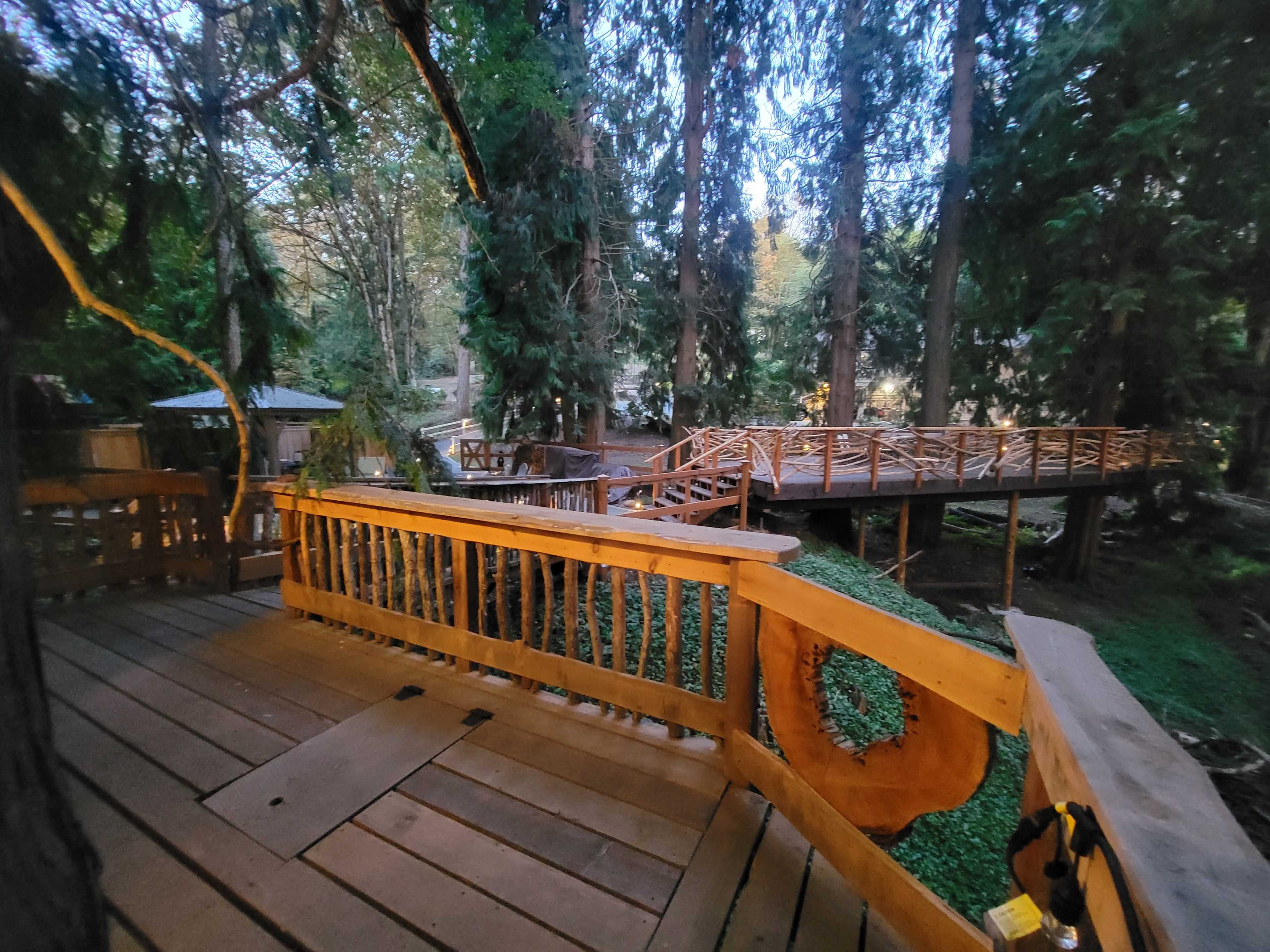 The image shows a wooden deck surrounded by tall trees, with pathways and bridges connecting various wooden structures in a forested area.
