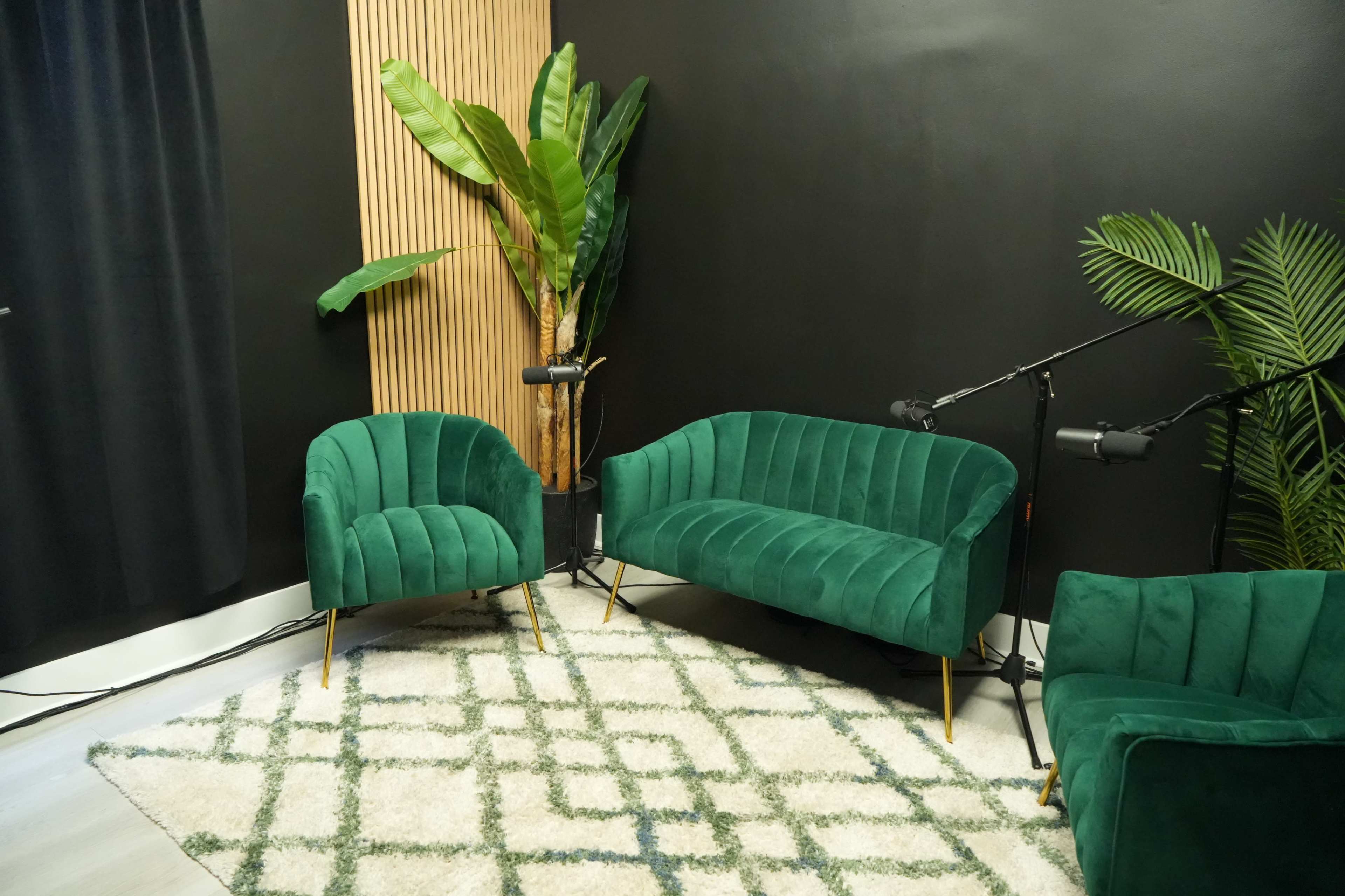 The image shows a modern room featuring green velvet furniture, including a sofa and chairs, with a large potted plant and a patterned rug on the floor.