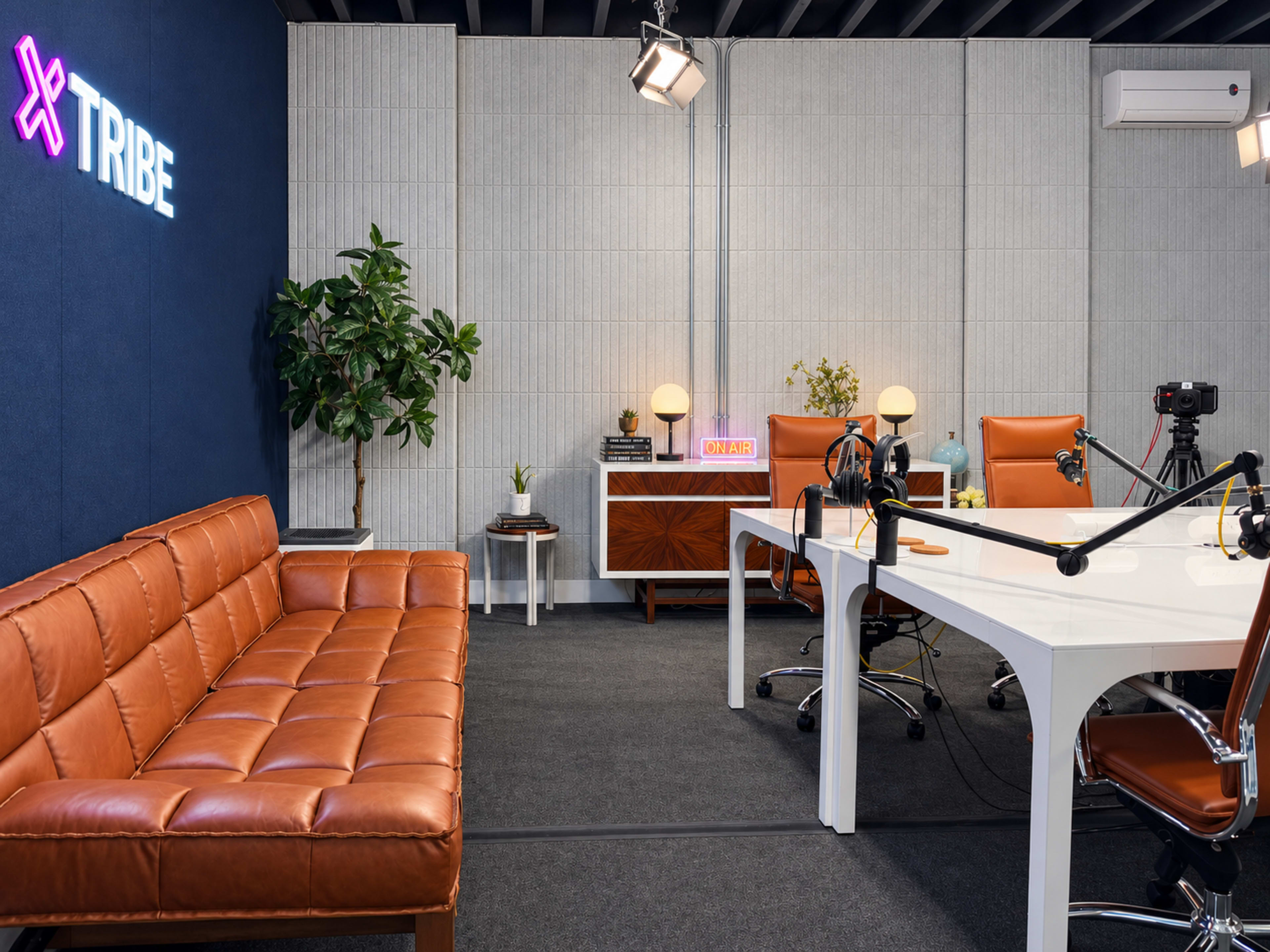 The image shows a modern office space featuring a brown leather sofa, a white desk with cameras and microphones, and decorative plants against a backdrop of gray walls and blue accents.