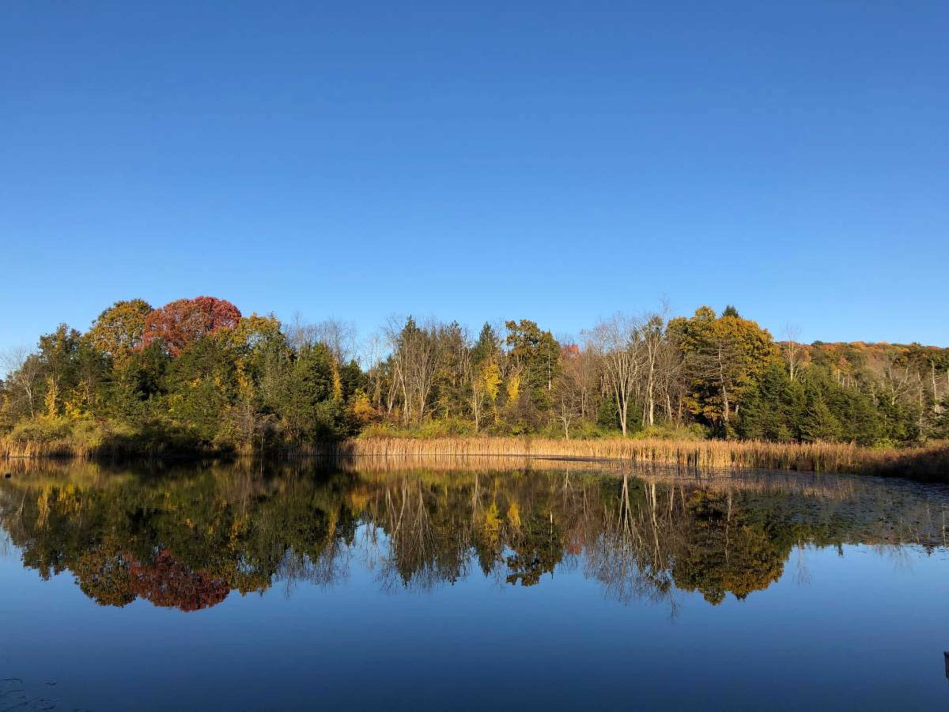 1920's Camp w/Lake, Bunkhouses & More Image in Milan, Milan, NY