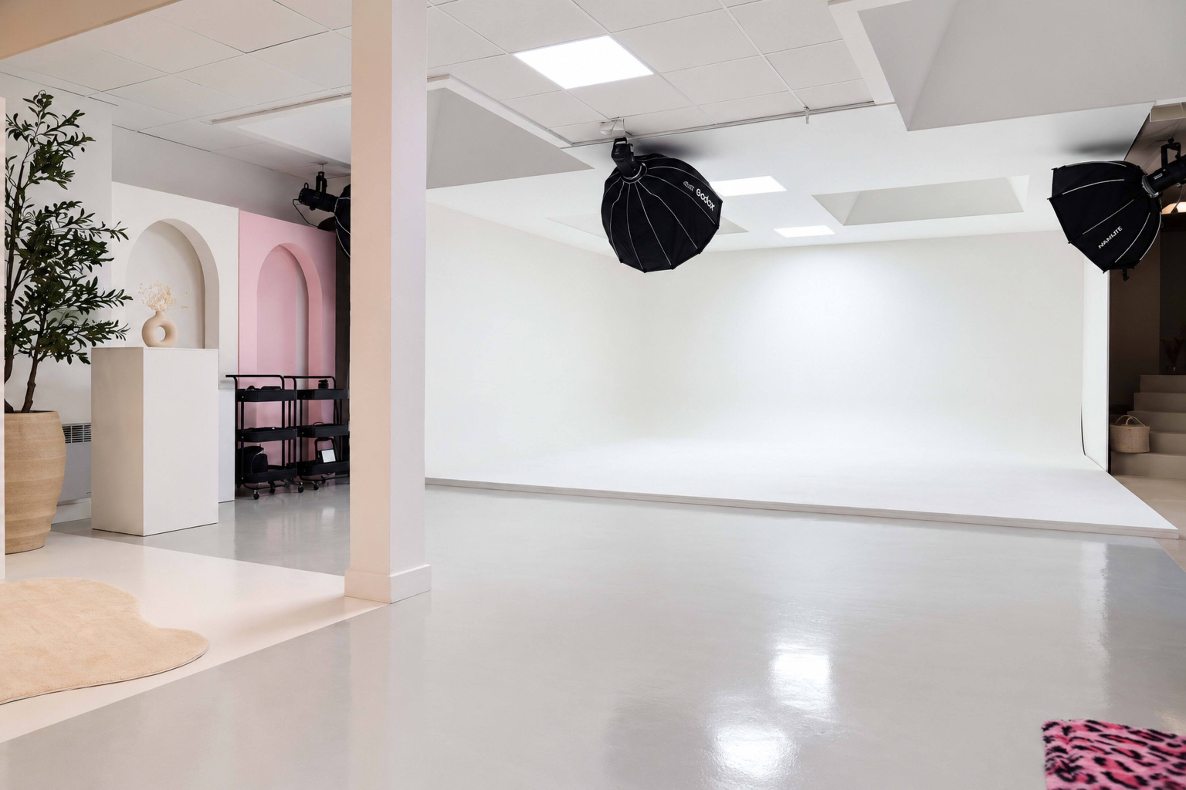 The image shows a bright, minimalist photography studio featuring a white backdrop, two large studio lights, and a few decorative elements like a plant and a rug.