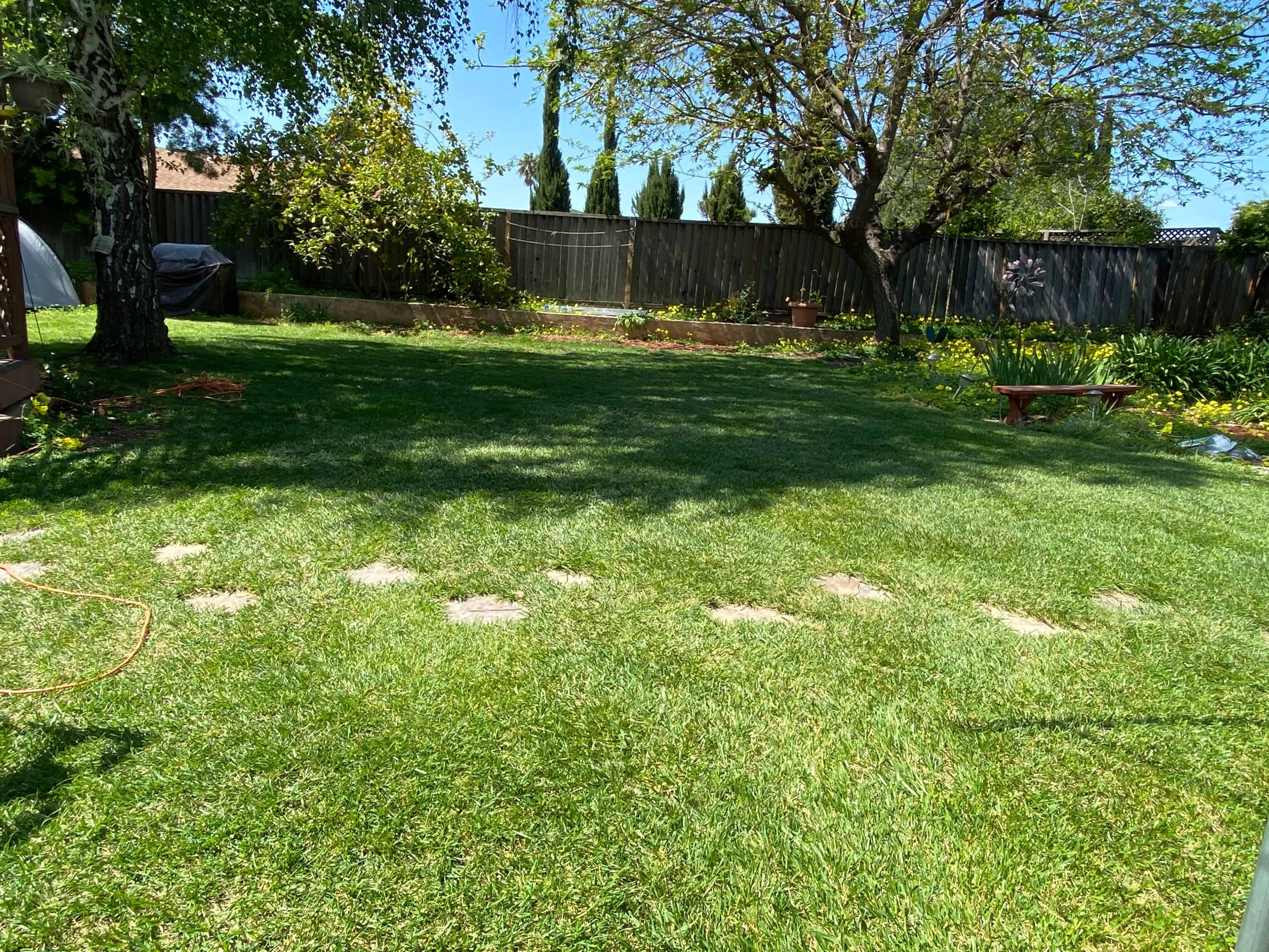 A grassy backyard features stepping stones leading through lush green lawn, with trees and a fence in the background.