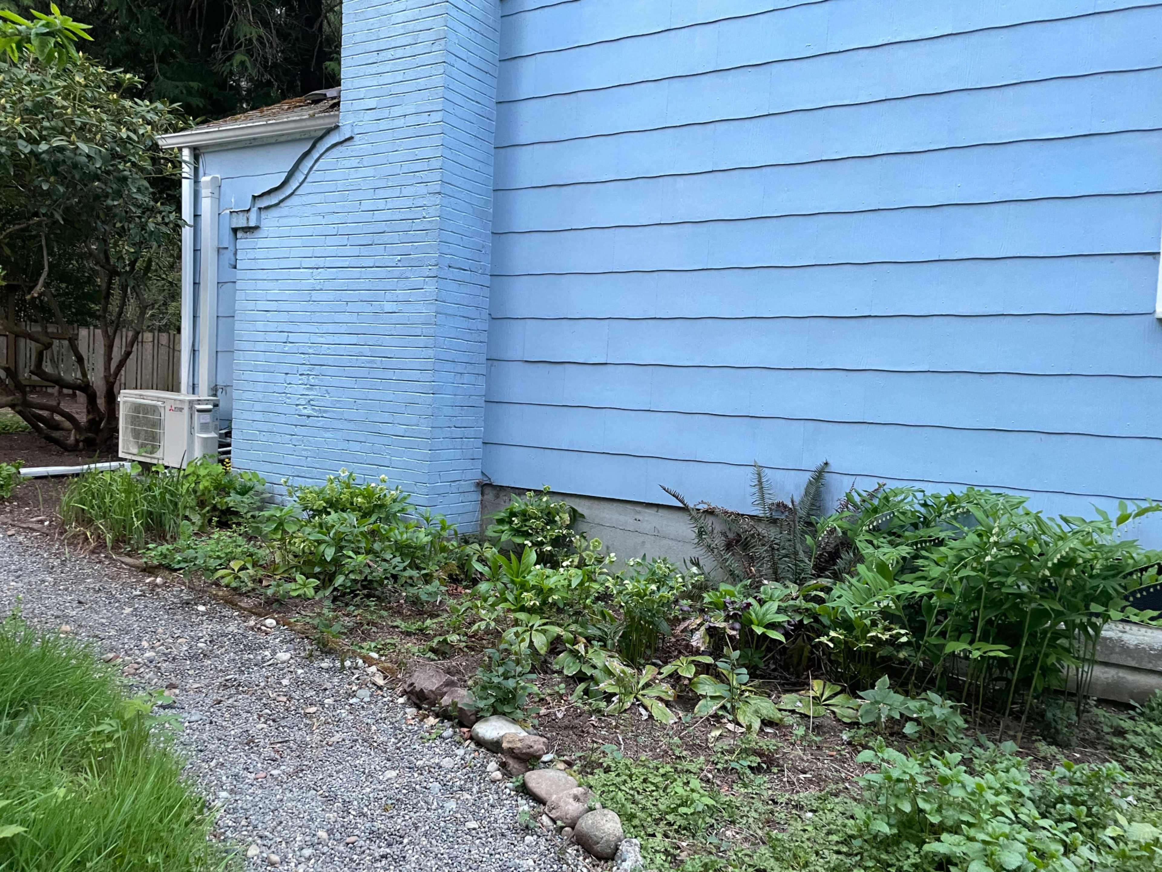 A blue house with a gravel path, flanked by greenery along the side of the building.