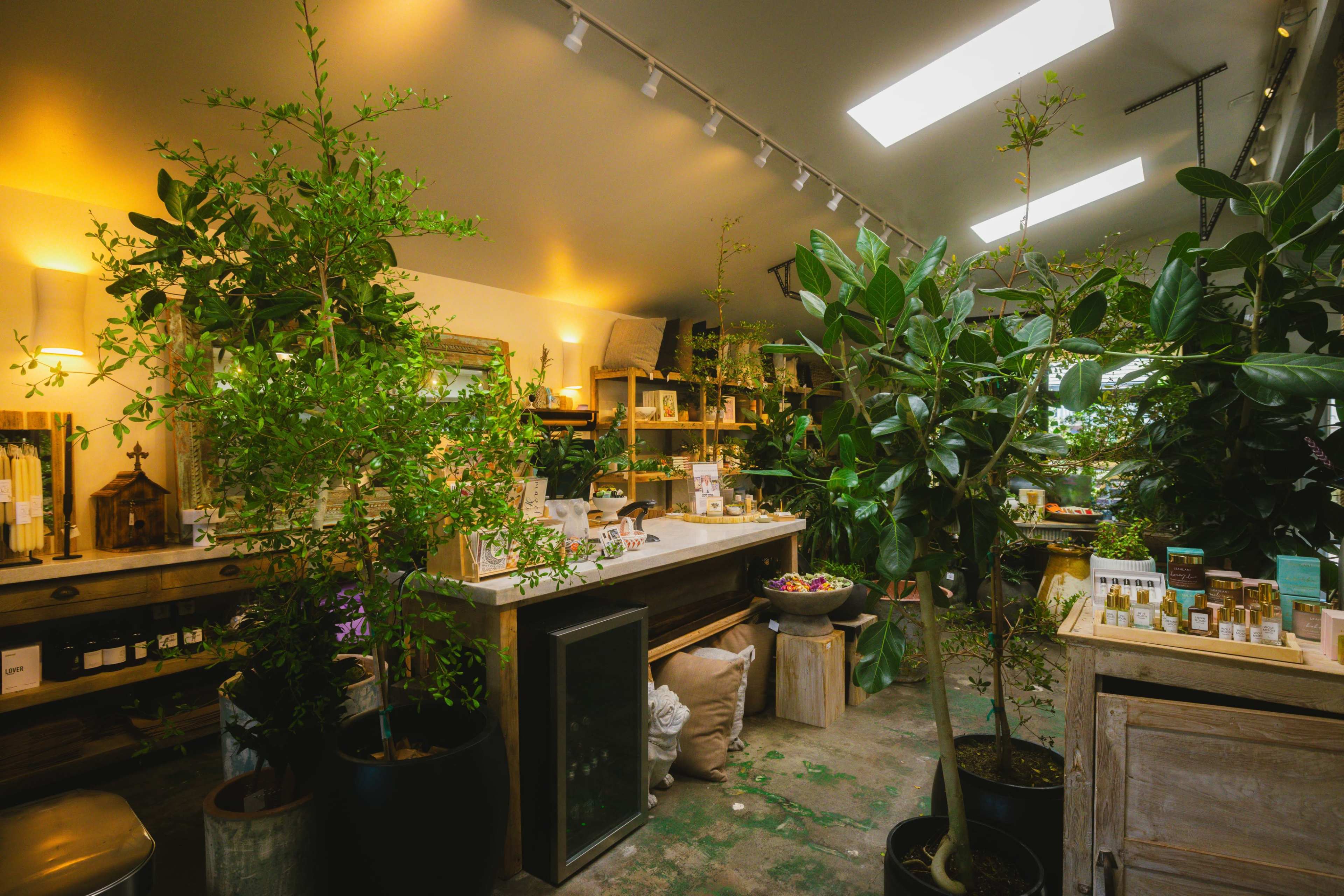 The image shows an indoor shop filled with greenery, featuring wooden shelves displaying various products and a central counter.