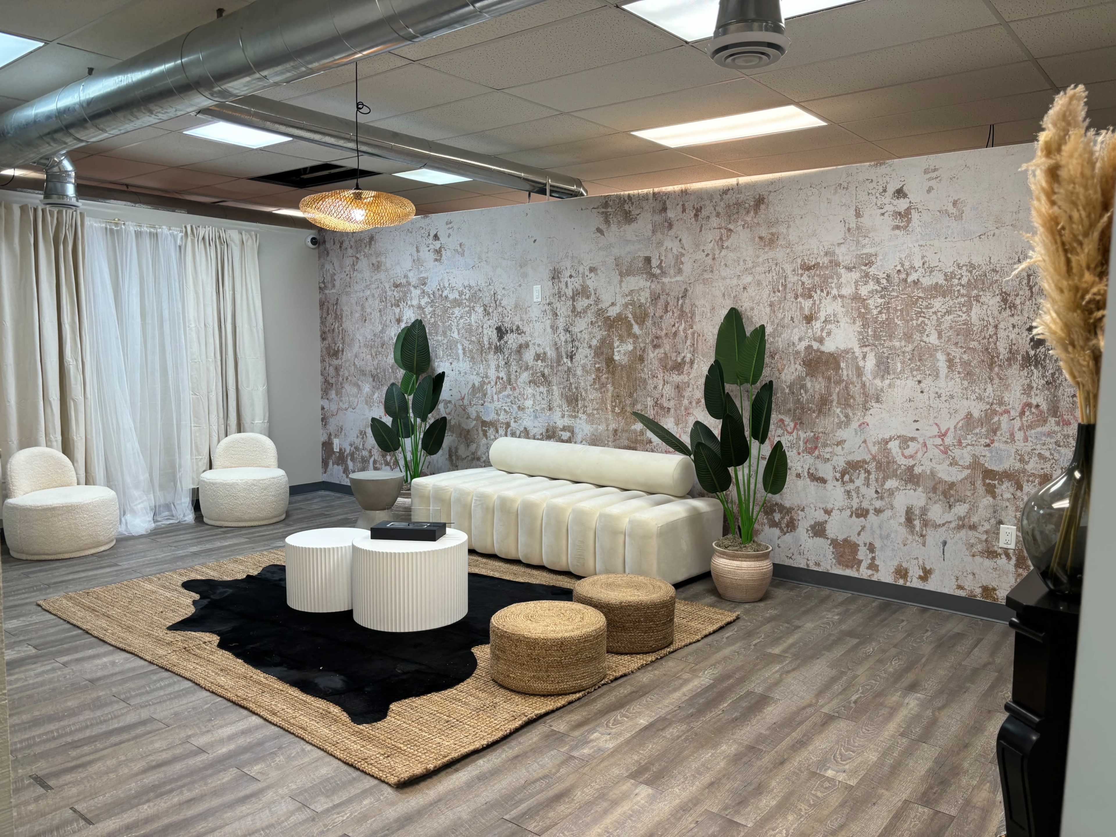 The image shows a modern interior space featuring a textured wall, a striped sofa, two circular chairs, a woven rug, and several decorative plants.