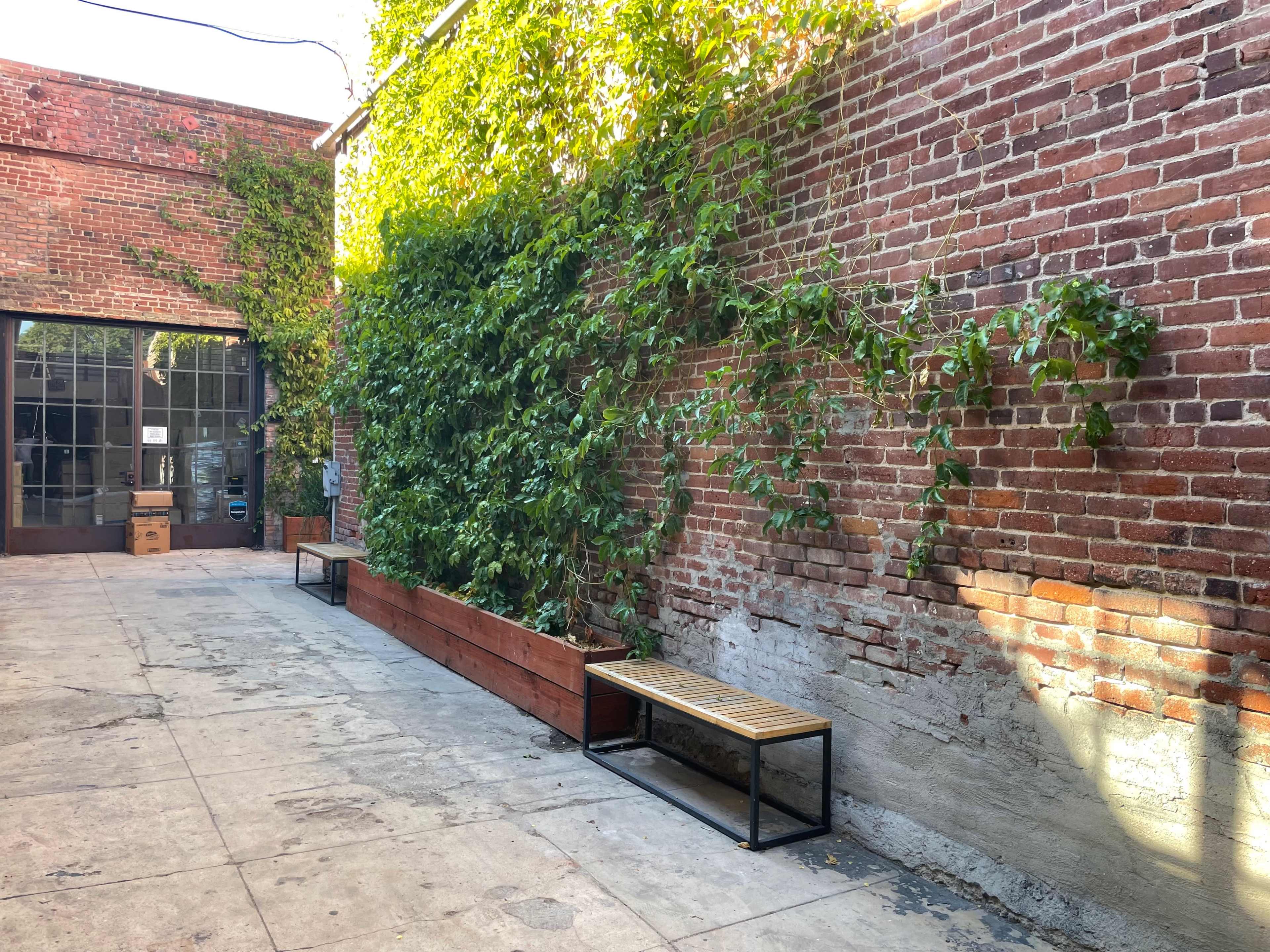 A narrow alleyway with a brick wall on one side, featuring green ivy plants and wooden benches along the pavement.