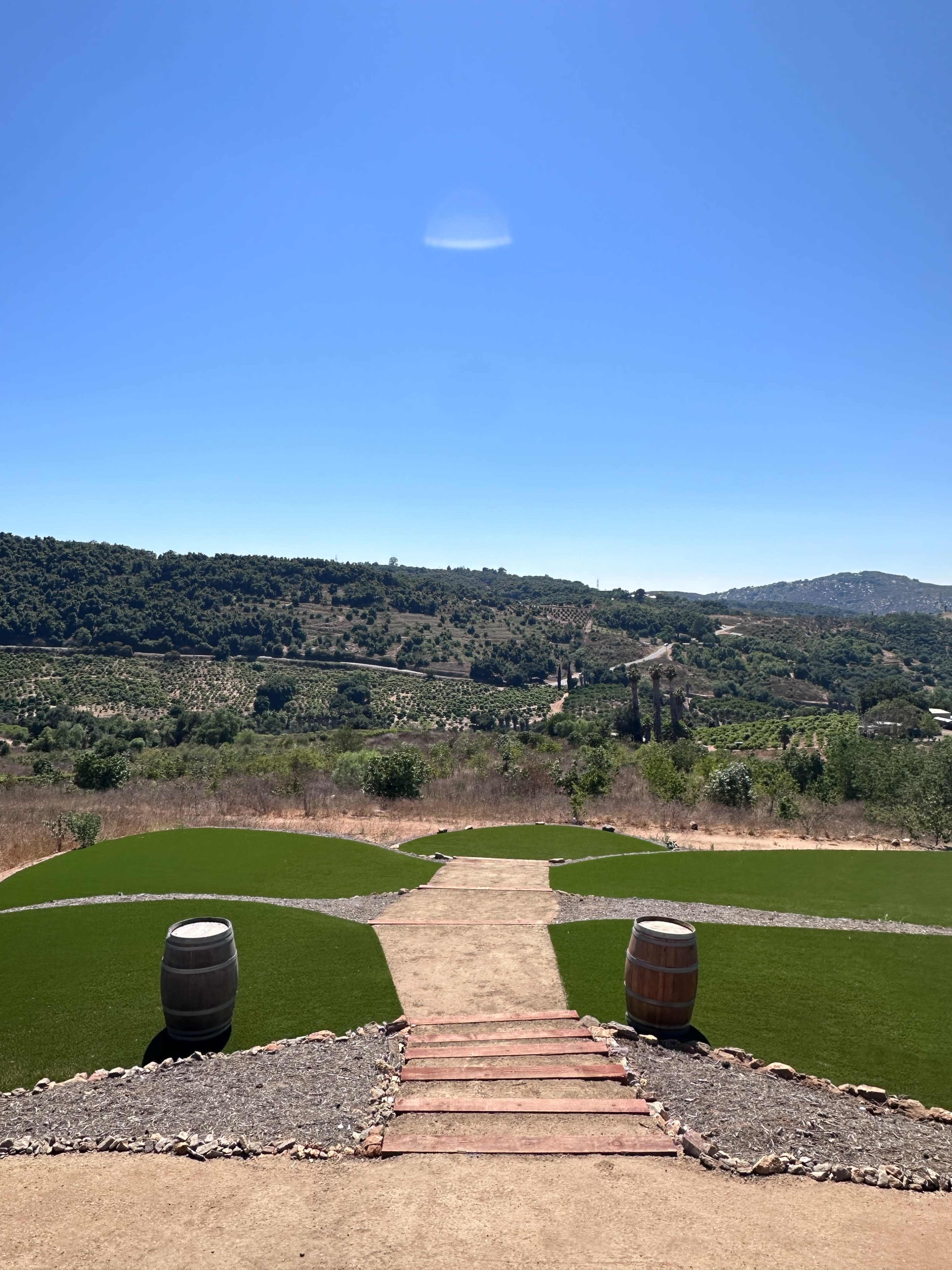 A pathway leads to a grassy area with two wooden barrels, flanked by rolling vineyards and hills under a clear blue sky.