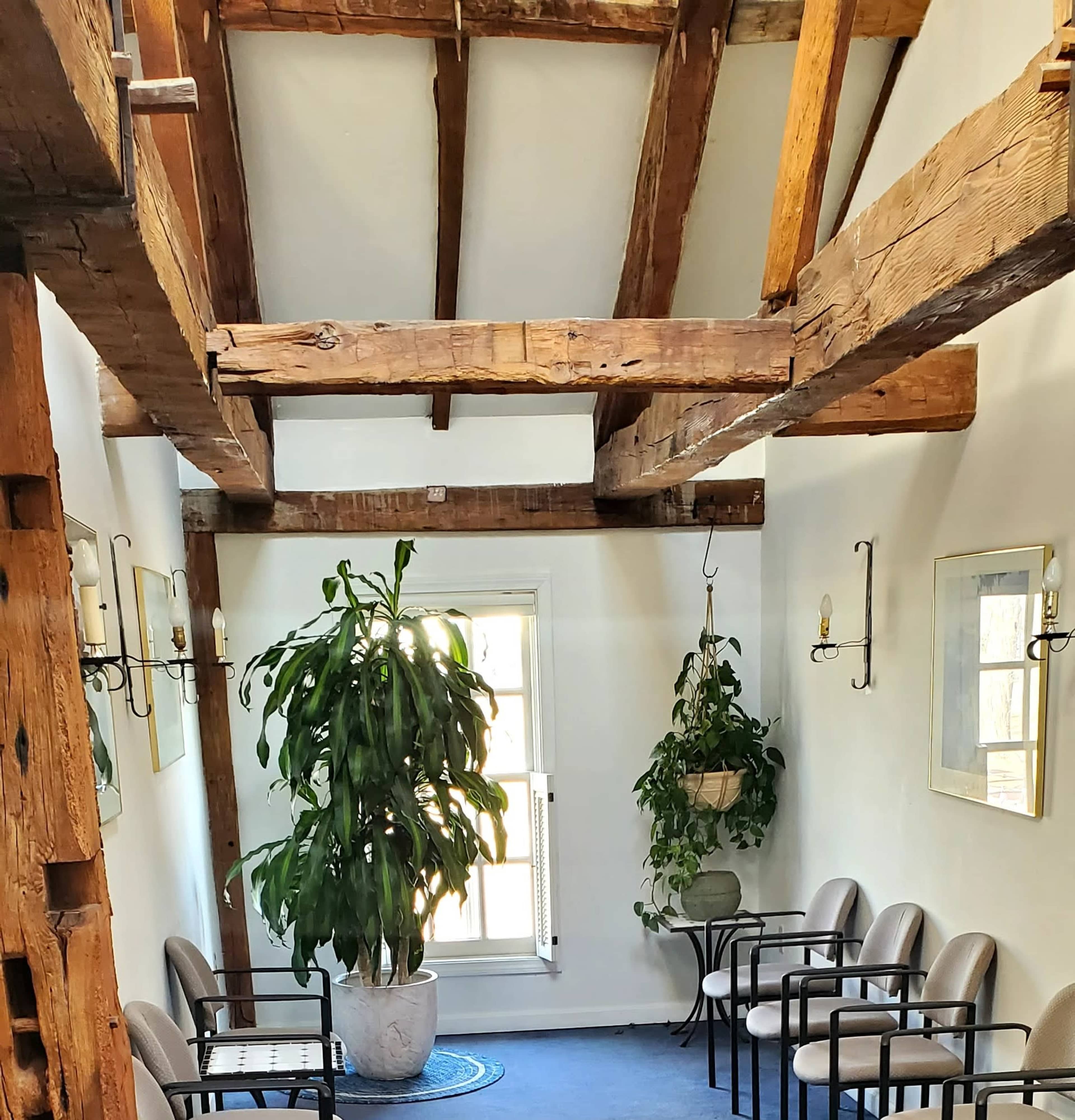 A room with exposed wooden beams, a large potted plant, and several evenly spaced chairs arranged along the walls.