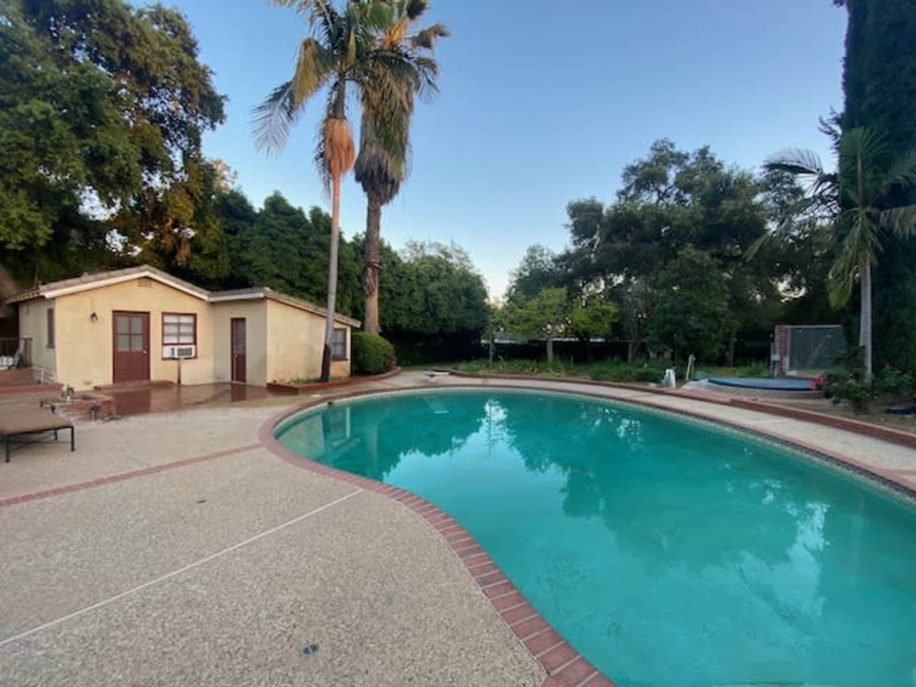 A rectangular swimming pool is situated next to a small house in a backyard surrounded by trees.