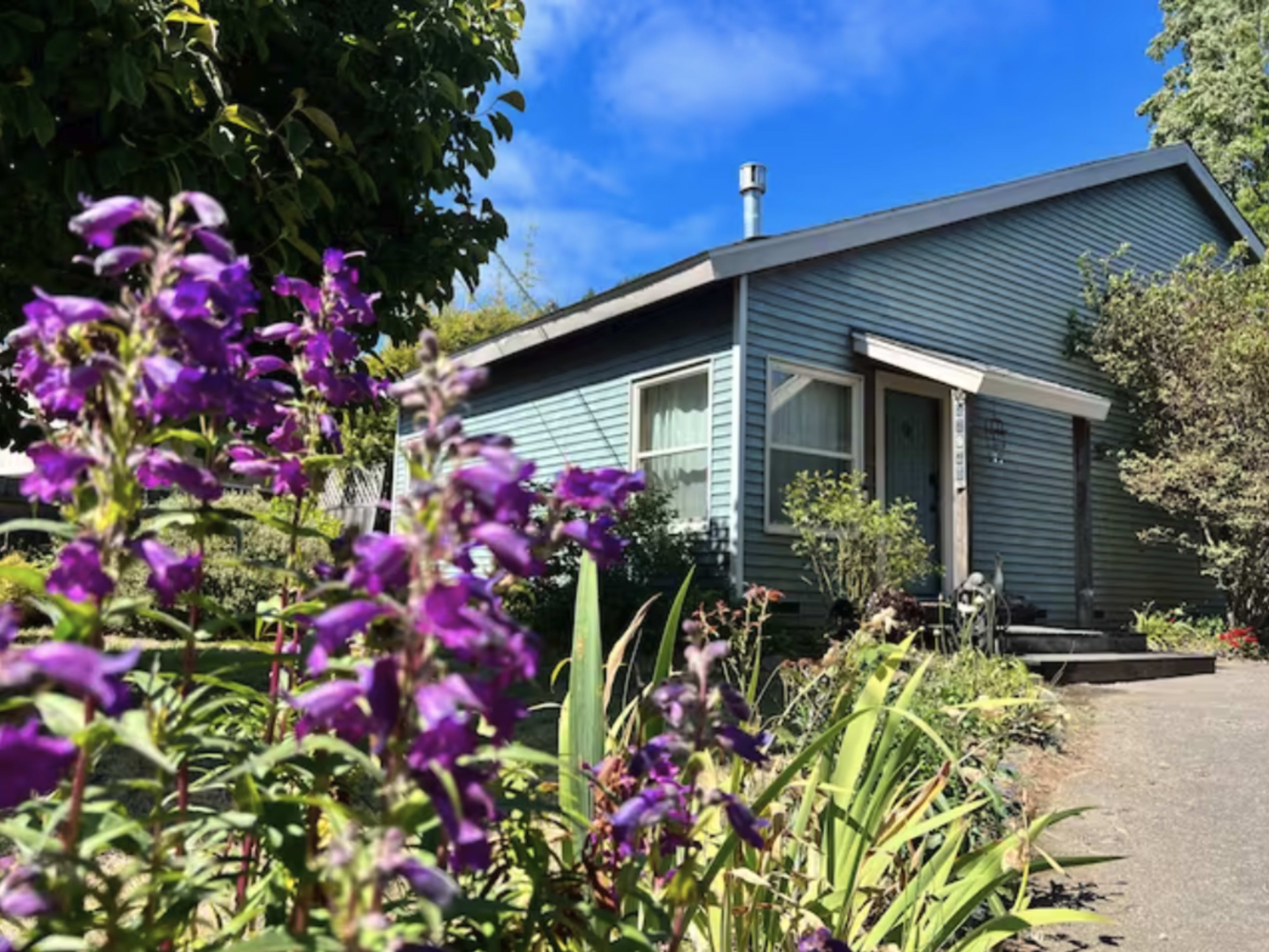 A light blue house with a sloped roof is surrounded by flowering plants and greenery under a blue sky.