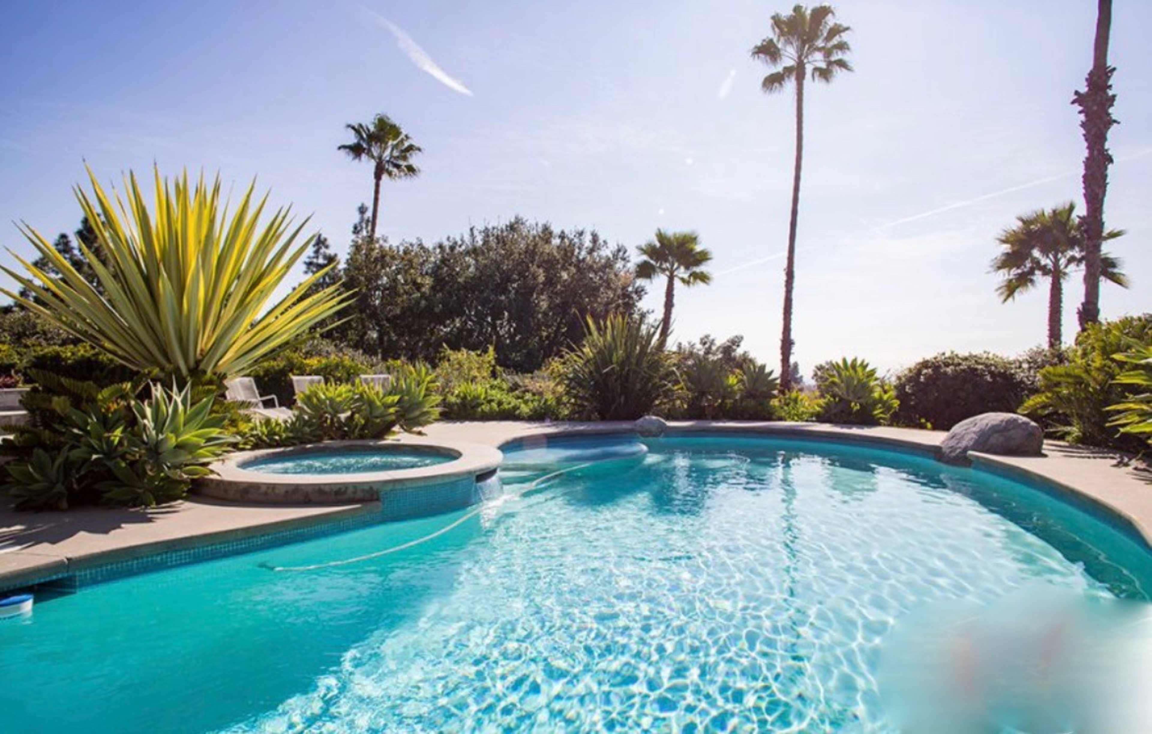 A swimming pool surrounded by palm trees and lush vegetation under a clear blue sky.