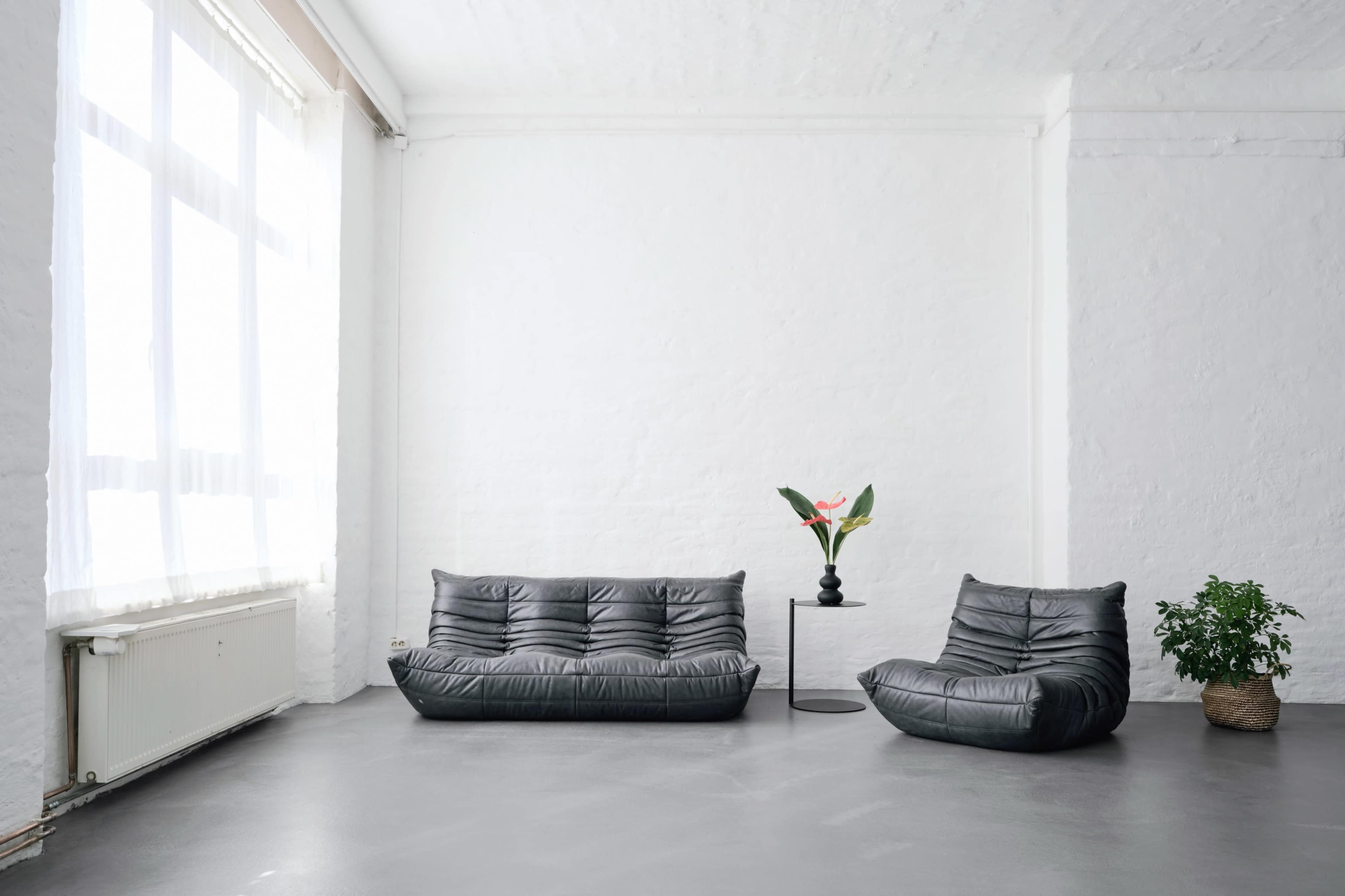 The image shows a minimalistic living space featuring a black sofa and a chair, alongside a small table with a vase and a plant, set against white walls and large windows.