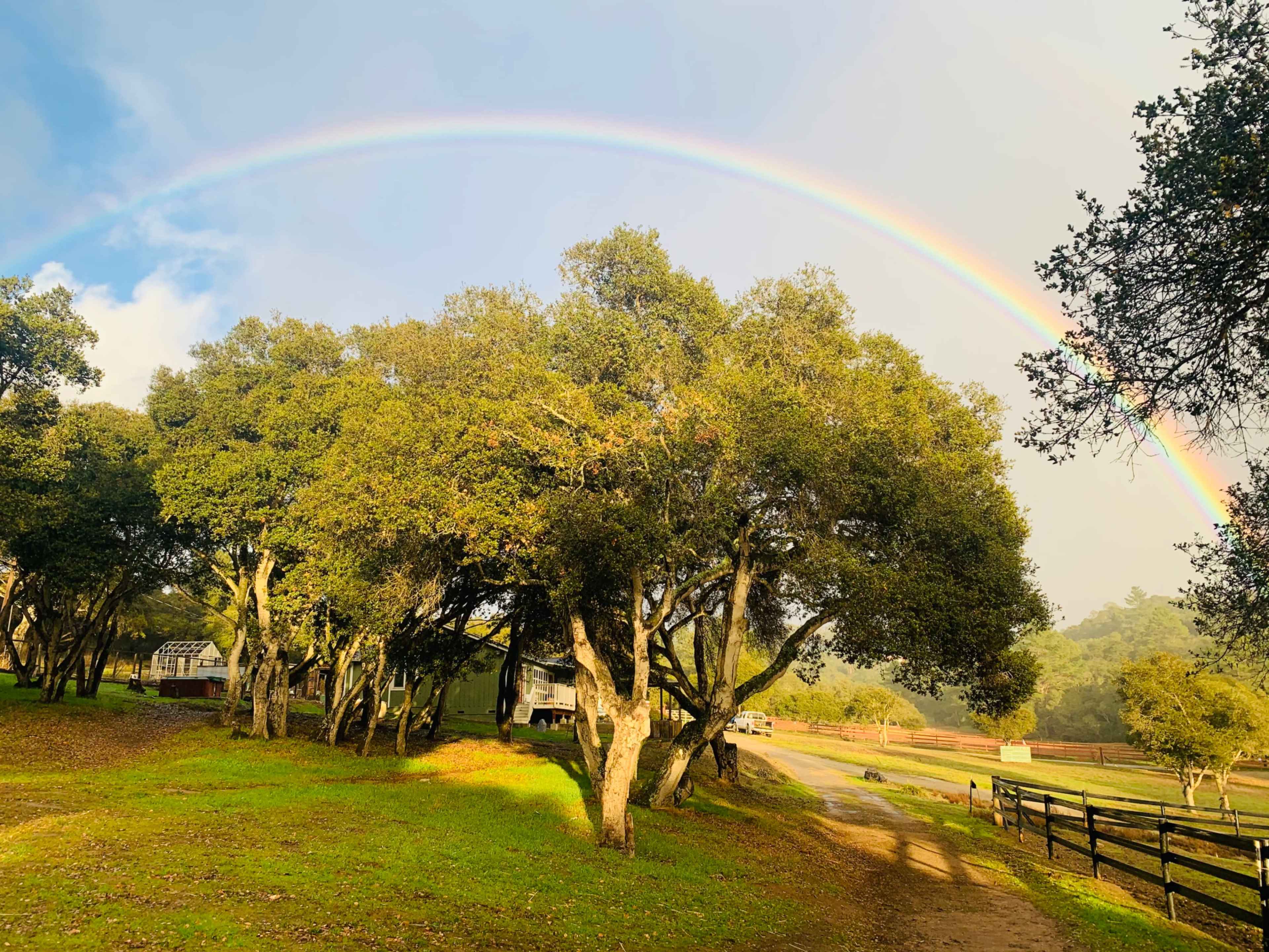 A vibrant rainbow arcs over a lush, green landscape with trees and a dirt path lined by a wooden fence.