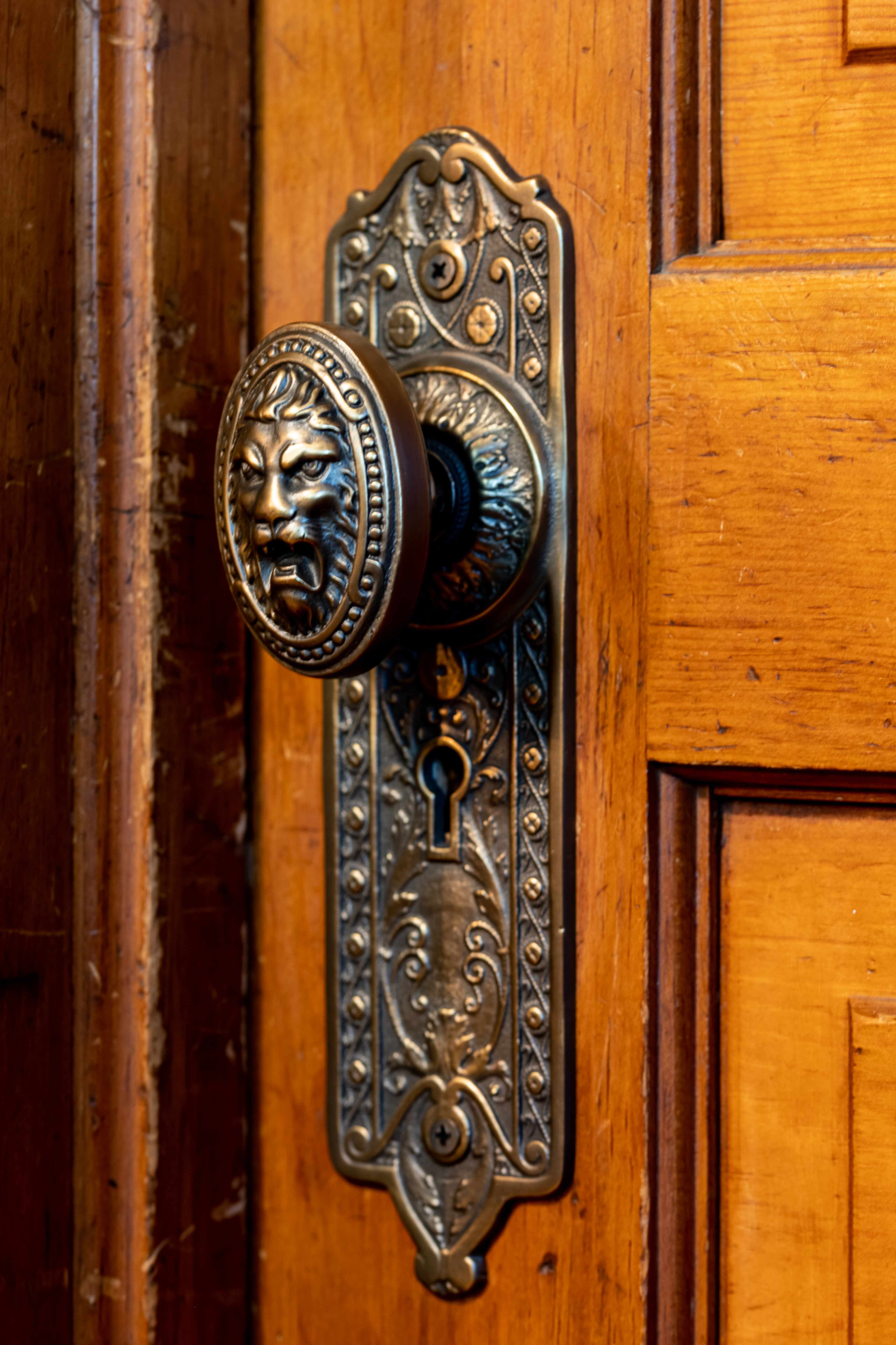 The image shows an ornate brass door knob shaped like a lion's head, mounted on a decorative backplate, against a wooden door.