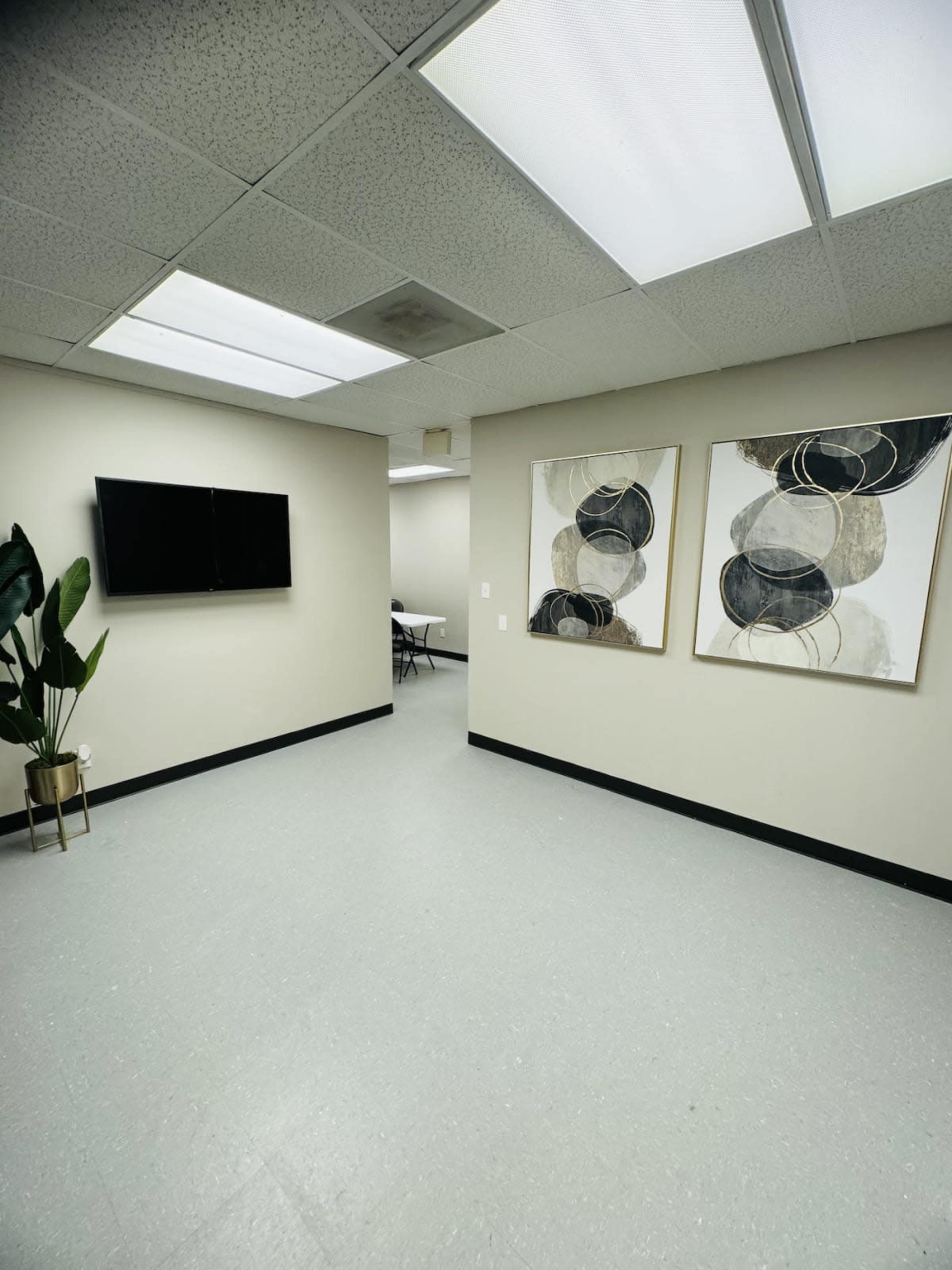 The image shows a minimalist office space featuring a television on one wall, two framed art pieces, and a potted plant in one corner.