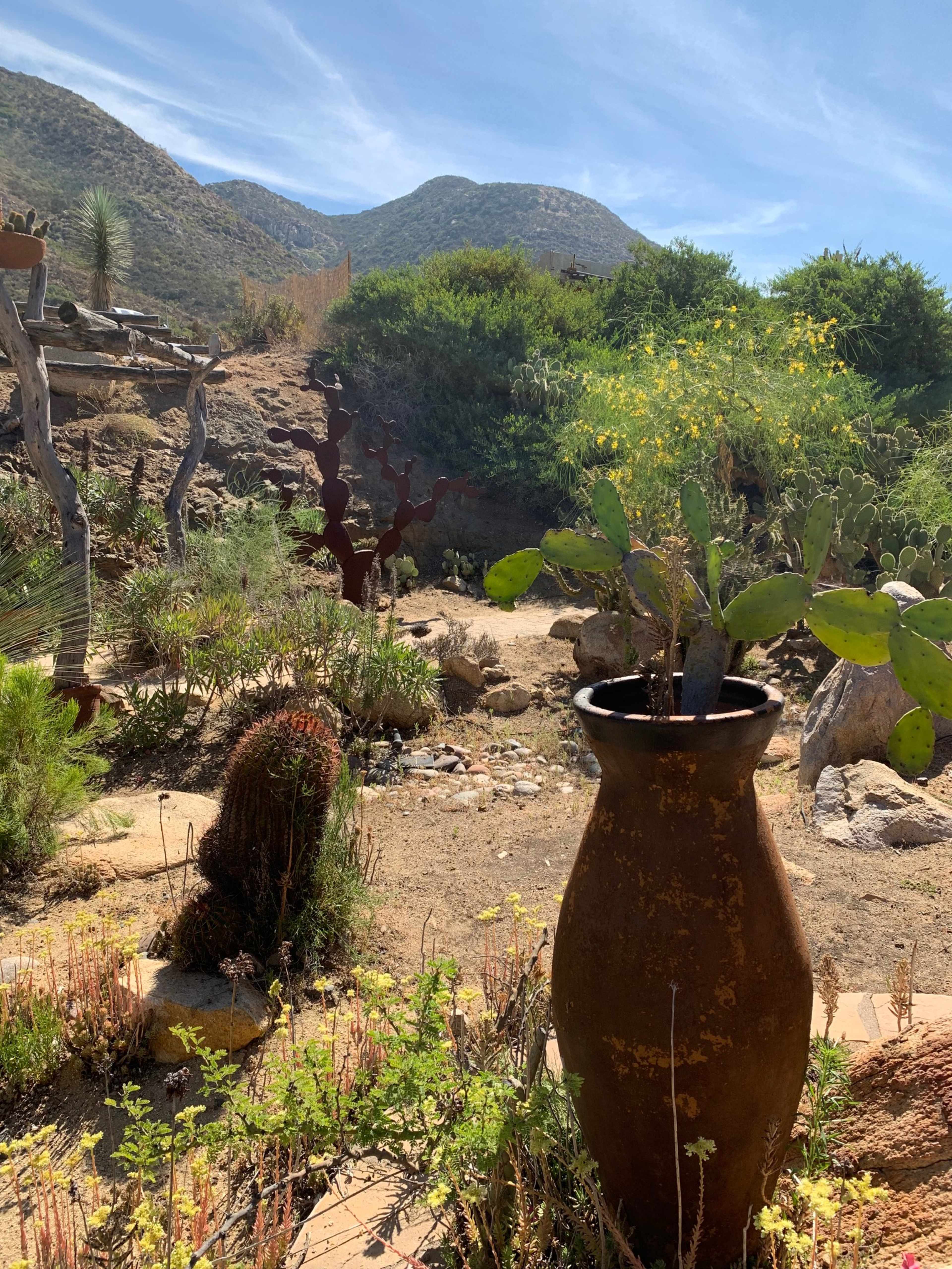 The scene features a rustic garden with a large clay pot containing a cactus, surrounded by various plants and hills in the background.