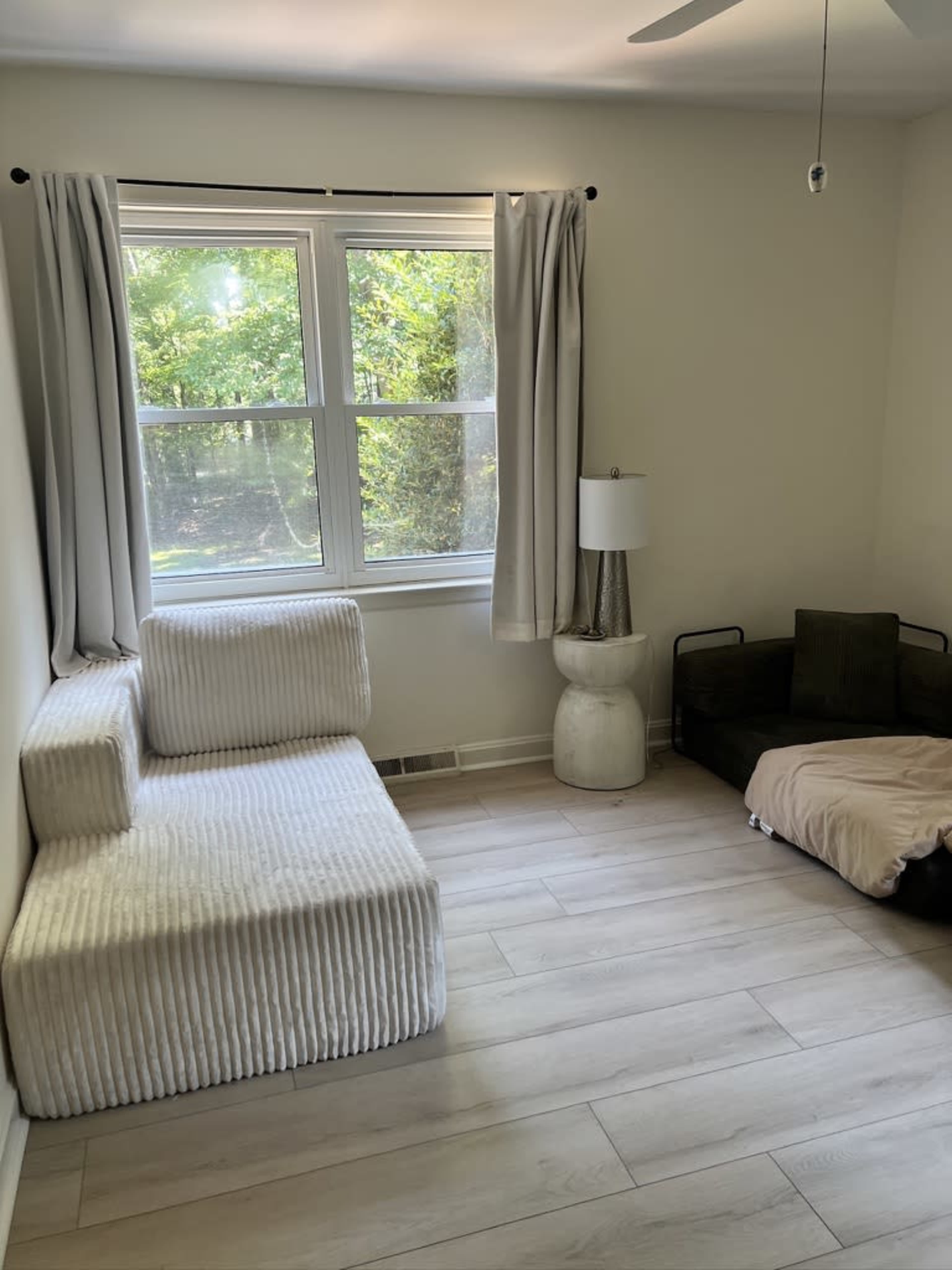The room features a white textured sofa, a stylish lamp, and a dark pet bed, with large windows allowing natural light and a view of greenery outside.