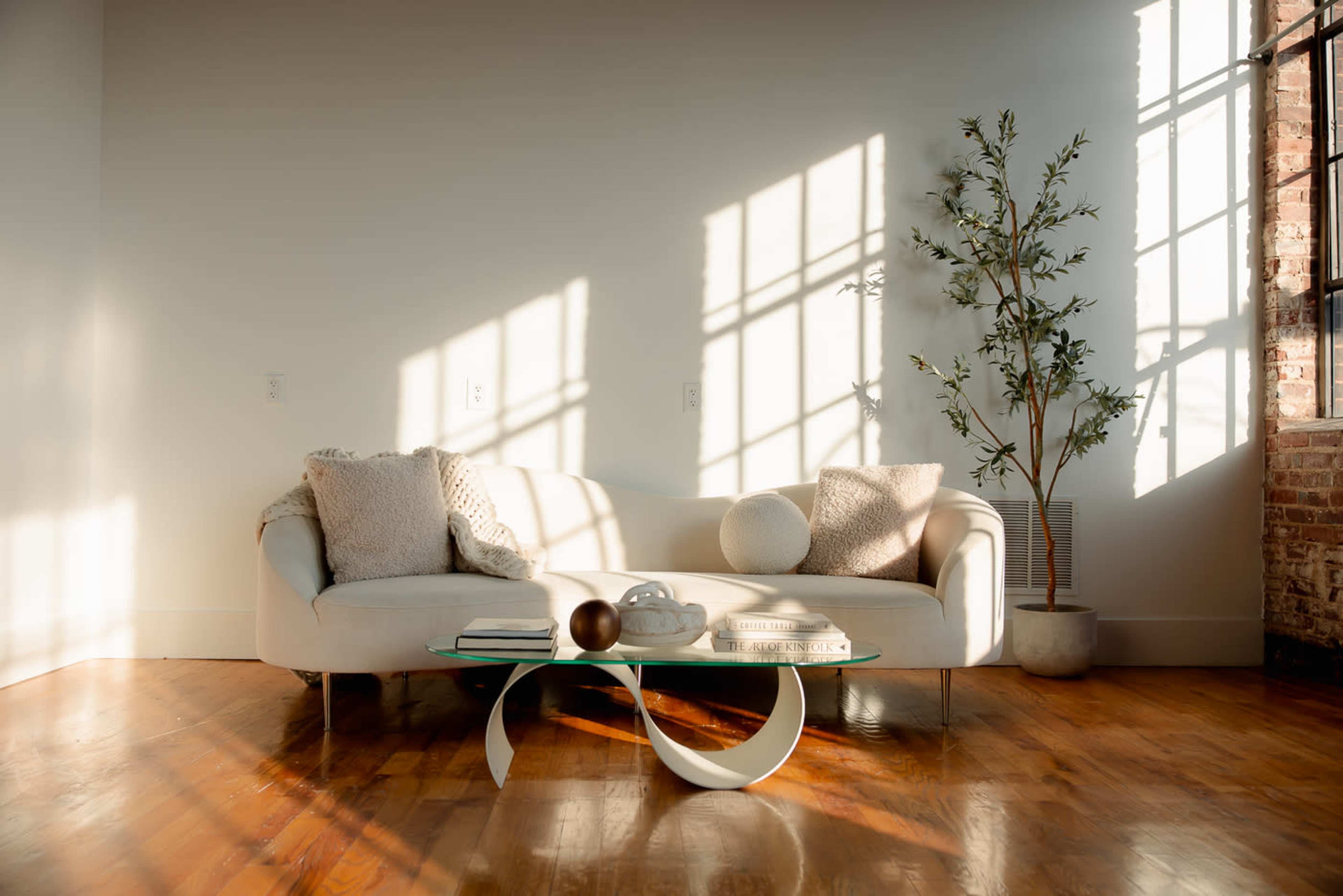 A bright, minimalist living room features a light-colored sofa with decorative pillows, a coffee table with books and a decorative object, and a potted plant beside a window casting shadows on the floor.