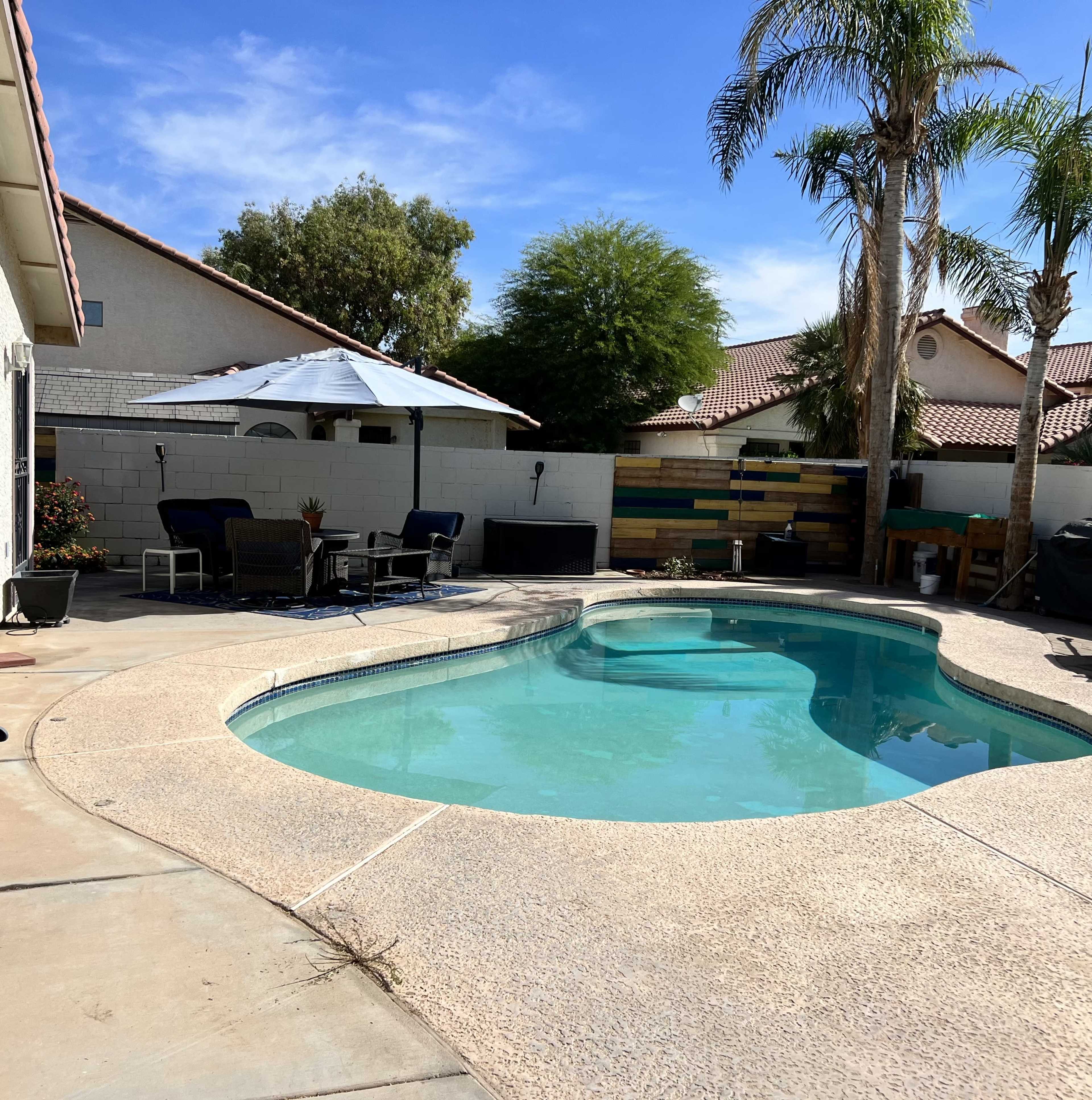 A swimming pool is surrounded by a patio area with lounge chairs, an umbrella, and palm trees in a residential backyard.