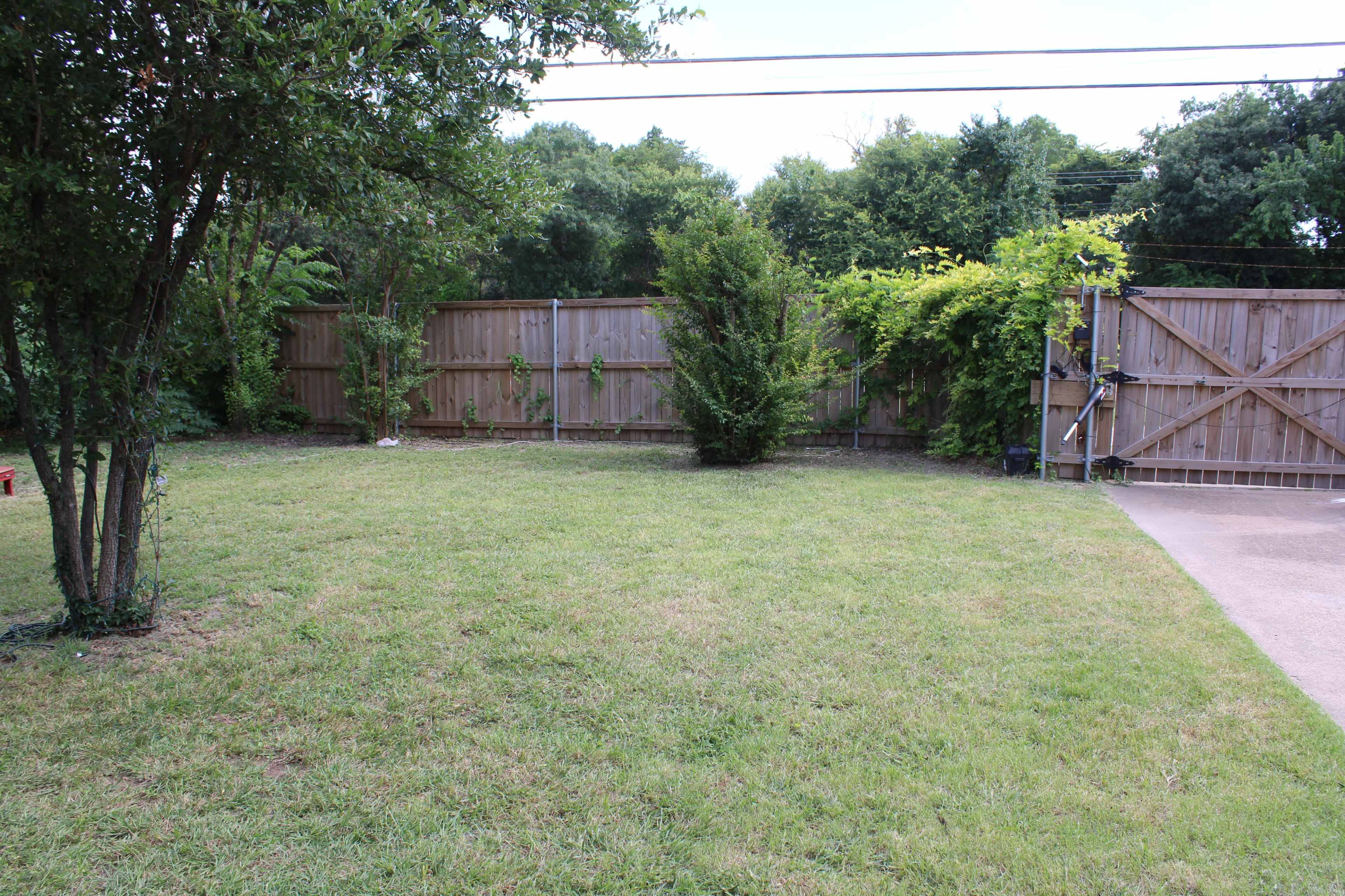 The image shows a grassy backyard enclosed by a wooden fence, with various shrubs and trees scattered throughout.