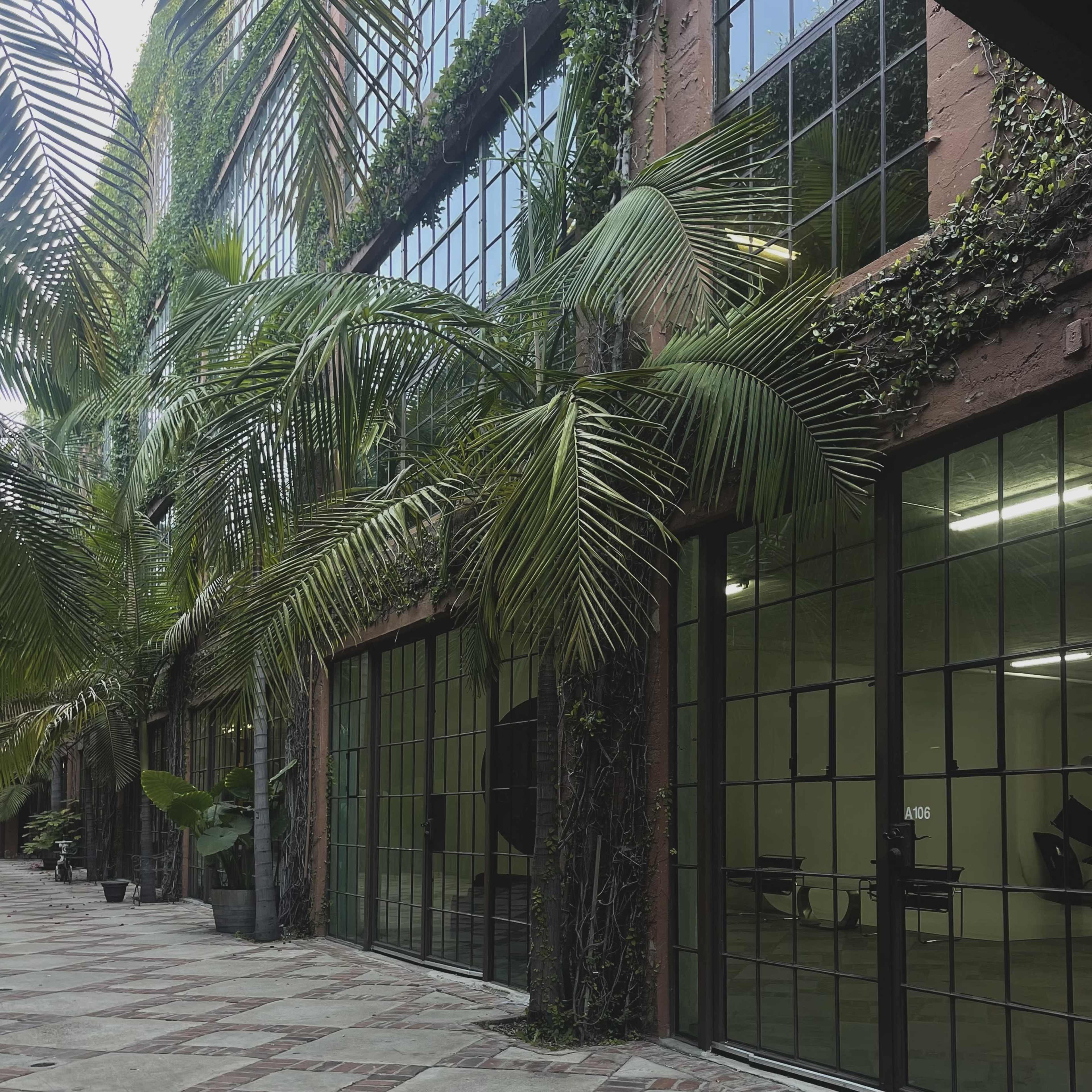 NEW AESTHETIC DTLA STUDIO (lightning/equipment FREE) Image in Central LA, Los Angeles, CA