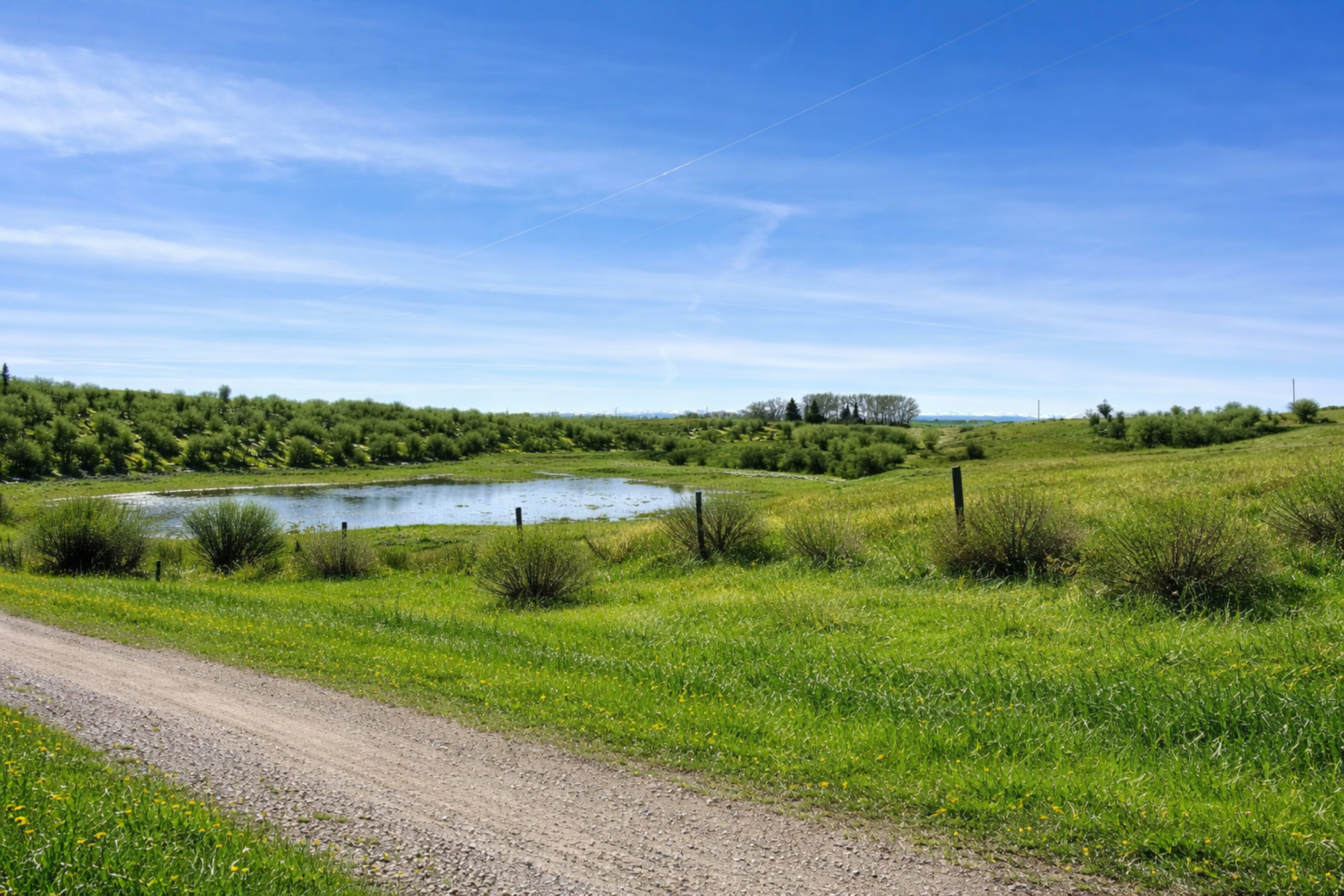 A gravel road borders a lush green field and a small pond surrounded by shrubs under a clear blue sky.