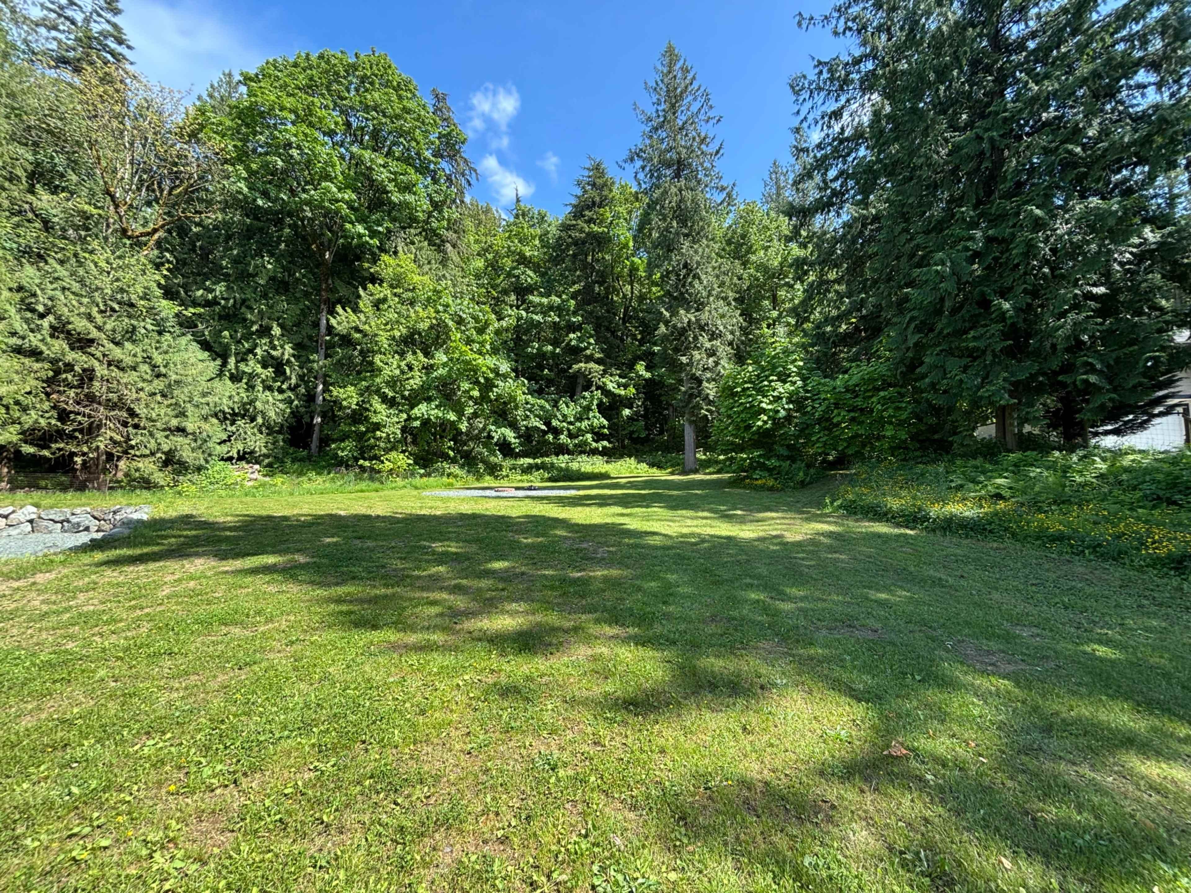 The image shows a grassy clearing surrounded by tall trees under a clear blue sky.