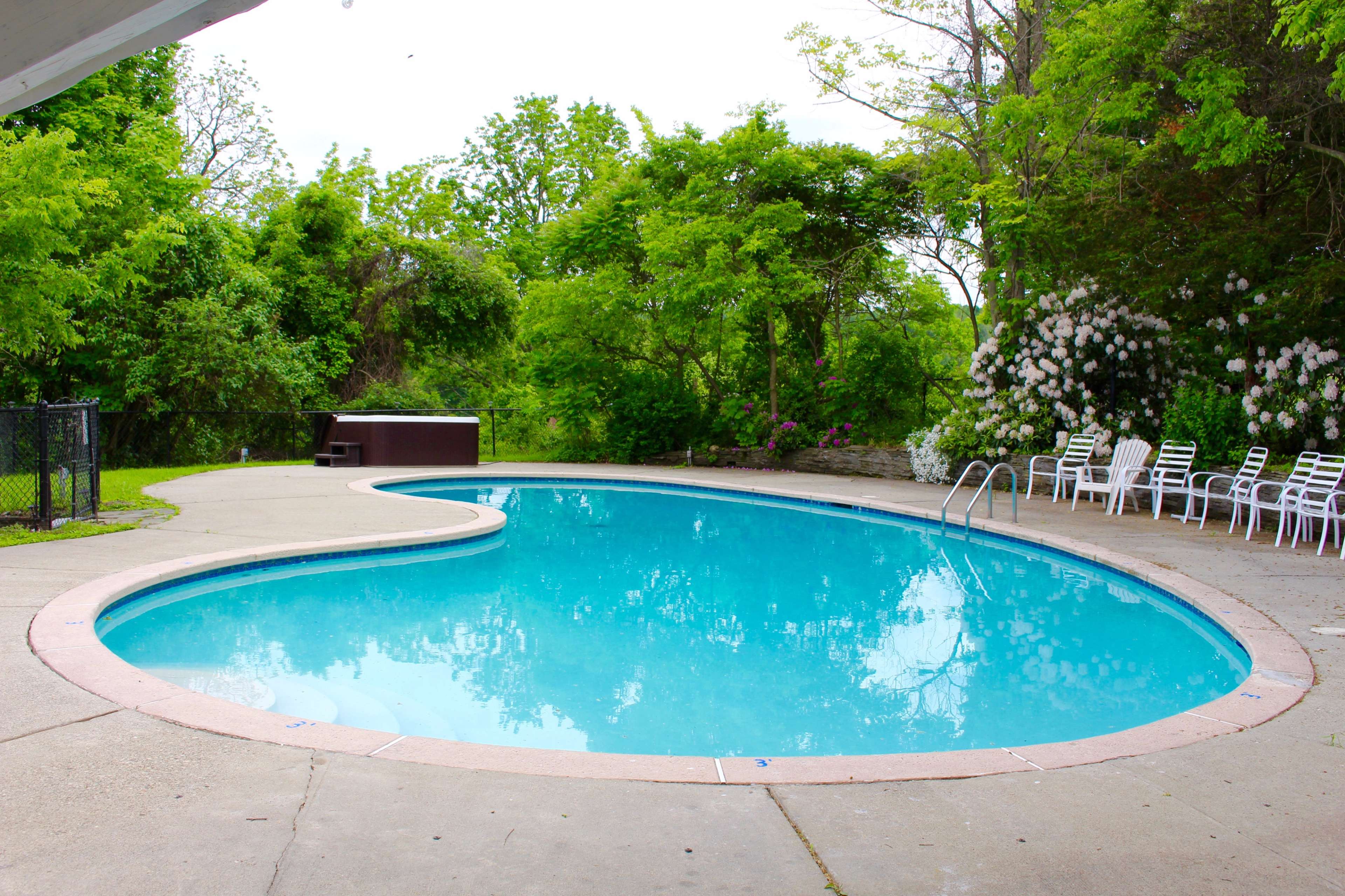 The image shows a clean, curved swimming pool surrounded by greenery and white lawn chairs.
