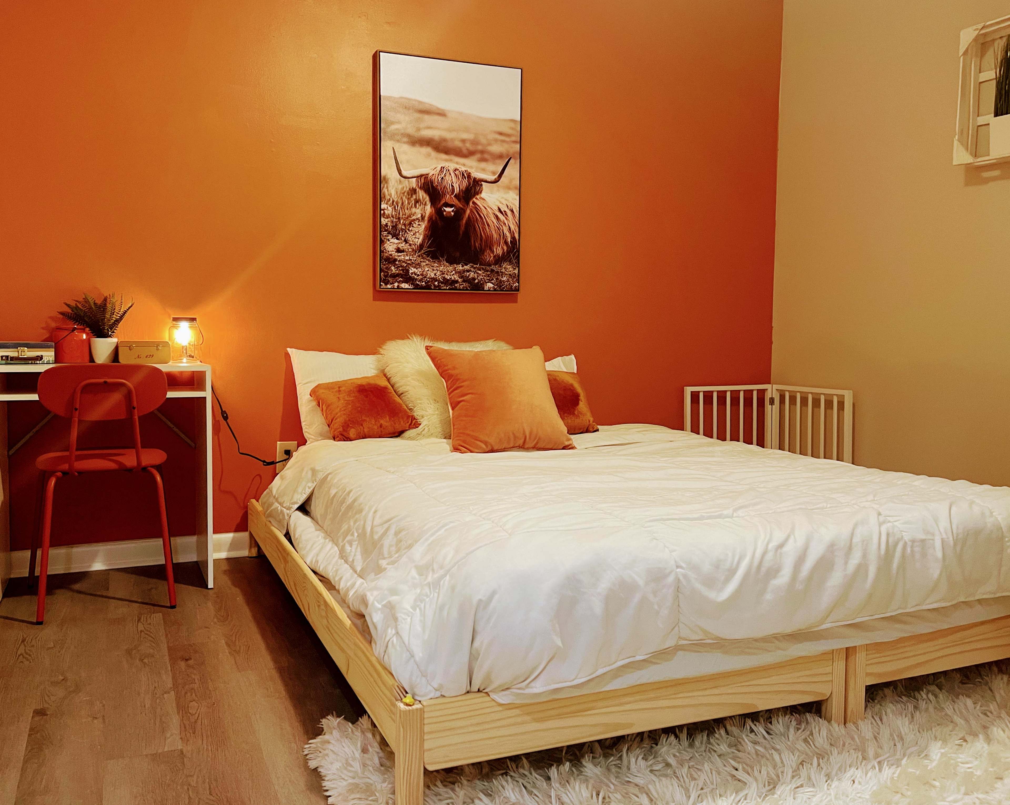 The room features a bed with white bedding, an orange accent wall, a wooden desk with a red chair, and a framed image of a cow on the wall.