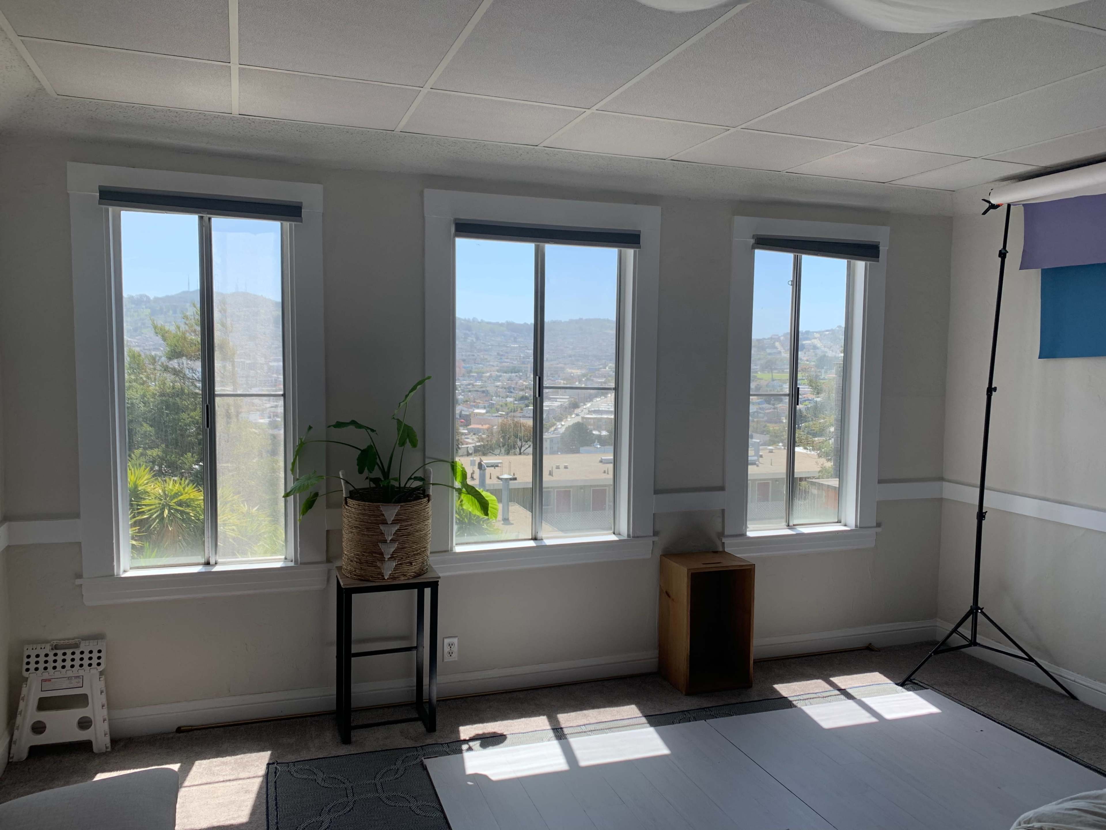 A well-lit room with three windows, a potted plant, a small table, and a backdrop stand in the corner.