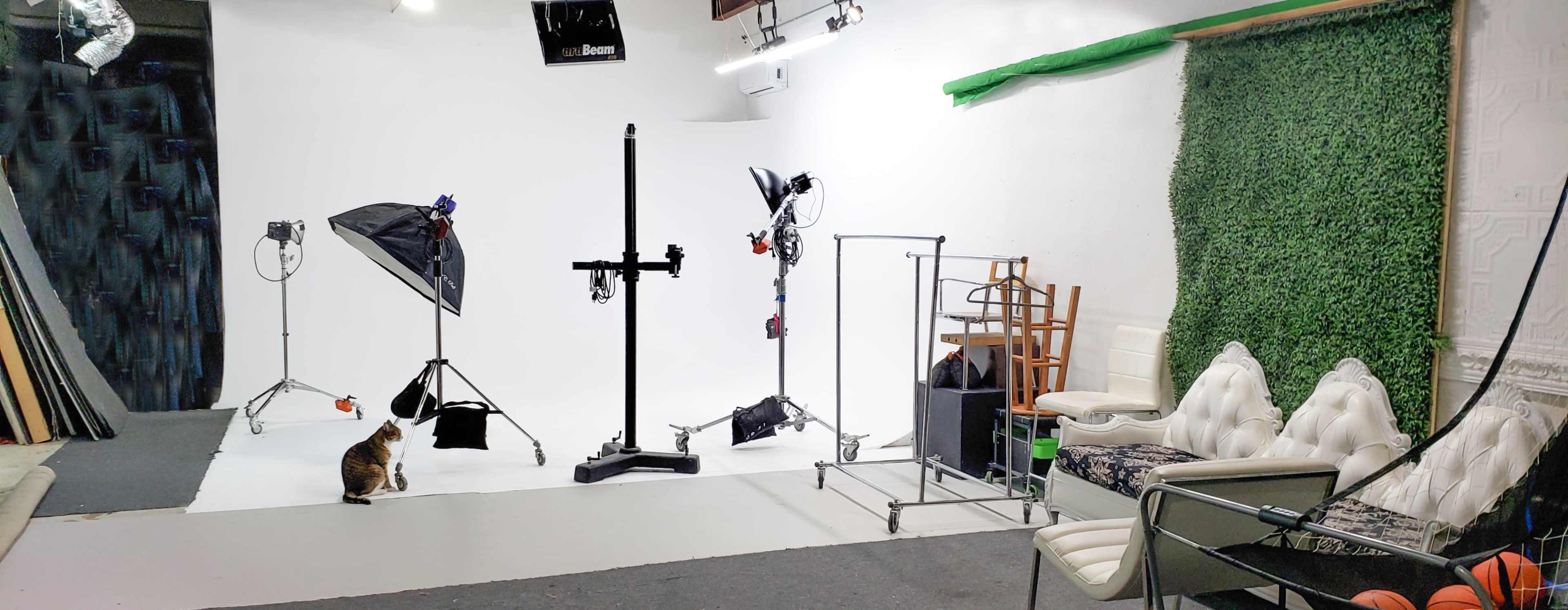 A photography studio with a white backdrop, various lighting equipment, a cat on the floor, and furniture including chairs and a green wall.