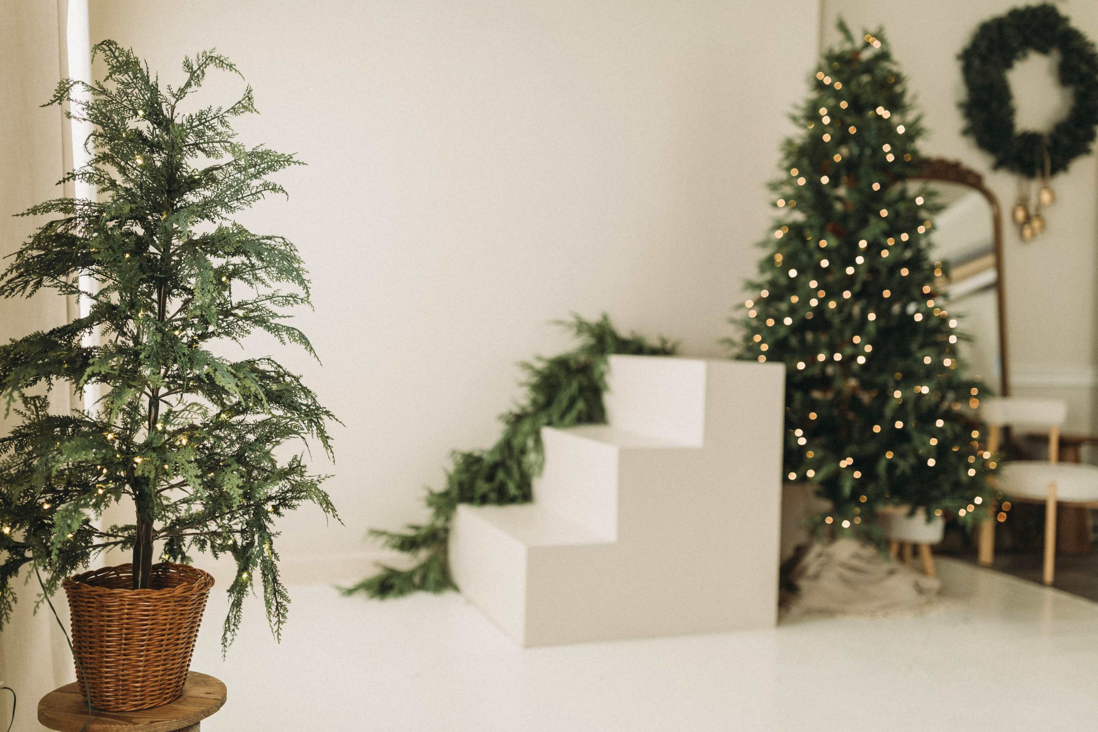 A simple studio scene features a Christmas tree adorned with lights, a decorative wreath on the wall, and a potted plant next to a set of white steps.