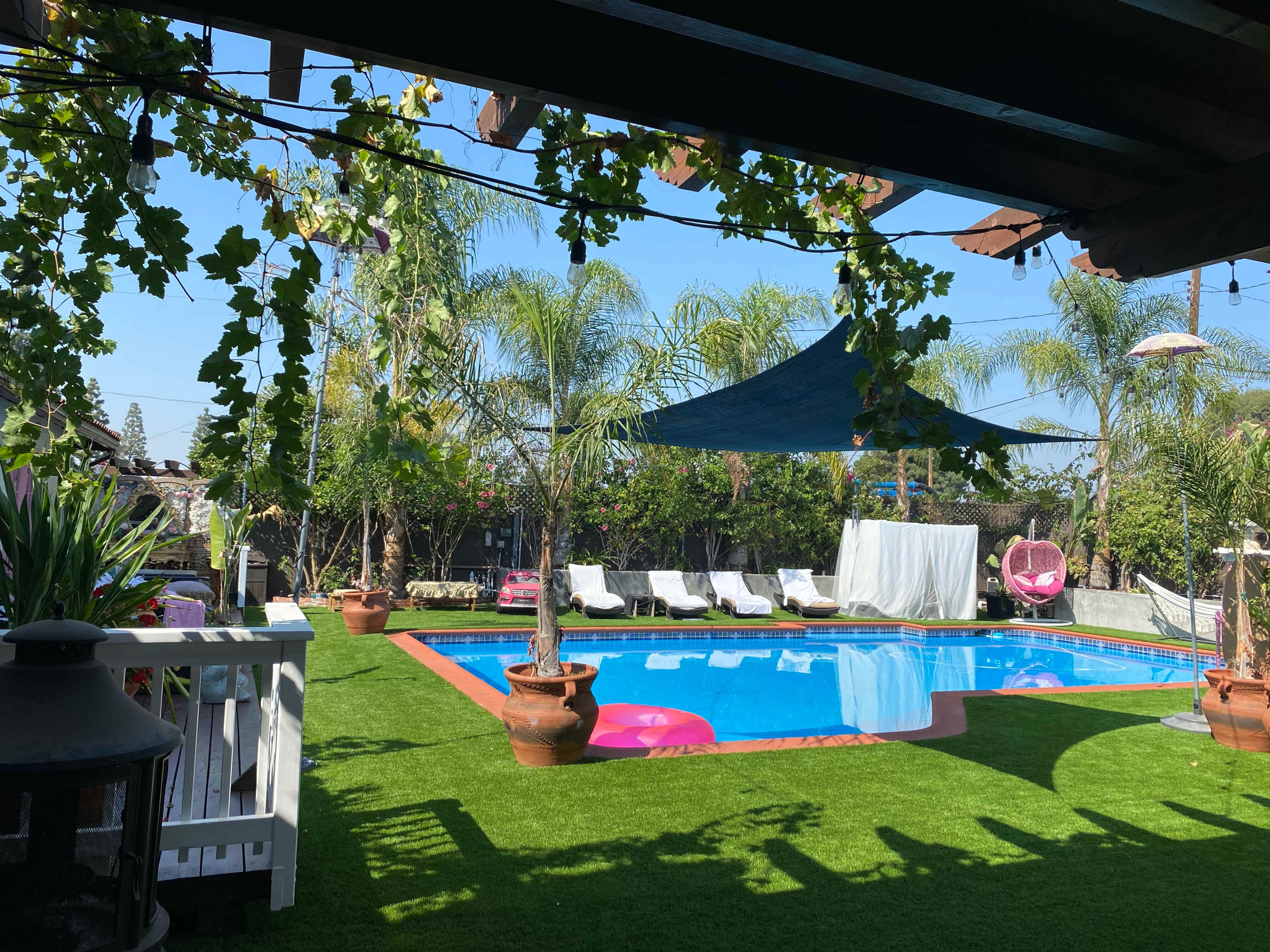 A backyard features a swimming pool surrounded by lounge chairs and palm trees, with a vibrant green lawn and colorful decor.